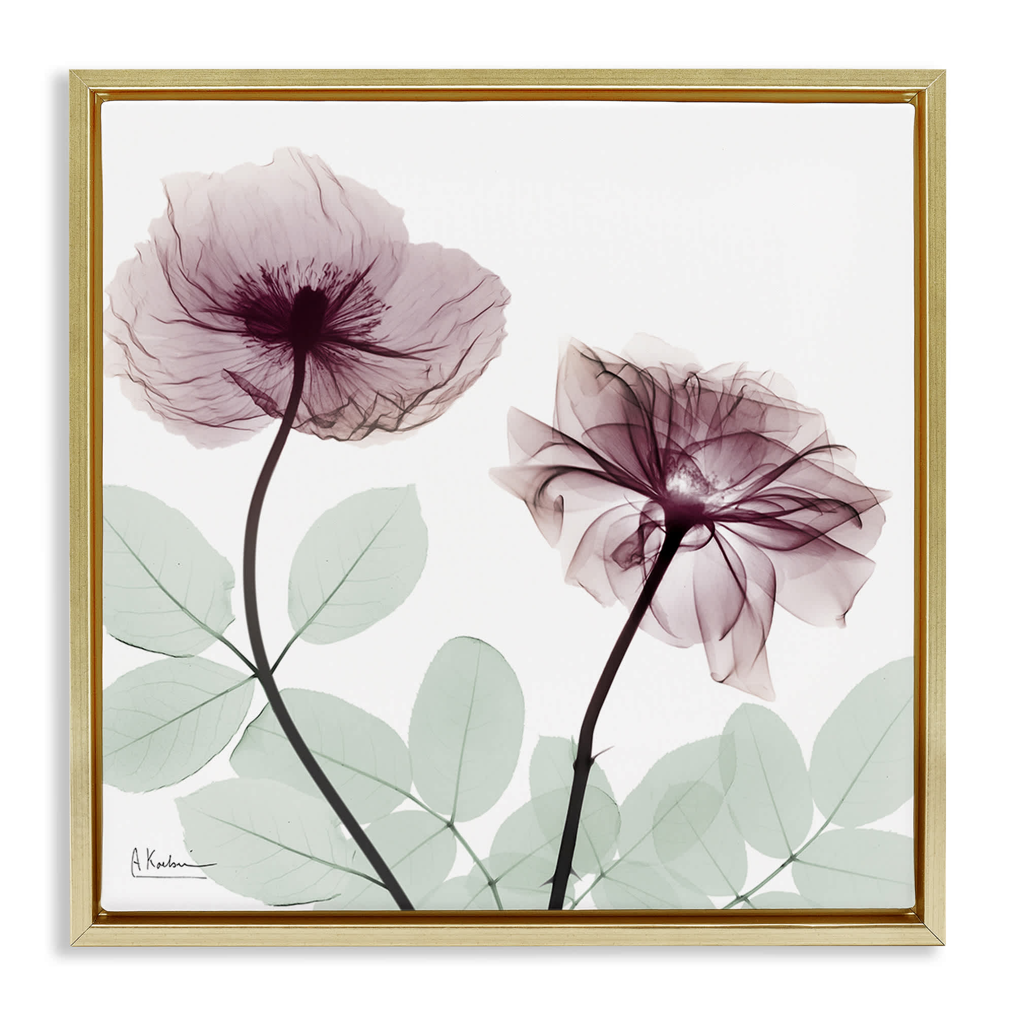 Stupell Industries BS-024-FFG-24X24 Delicate Floral Bunches Gold Framed Floater Canvas Wall Art By Albert Koetsier 25 x 25