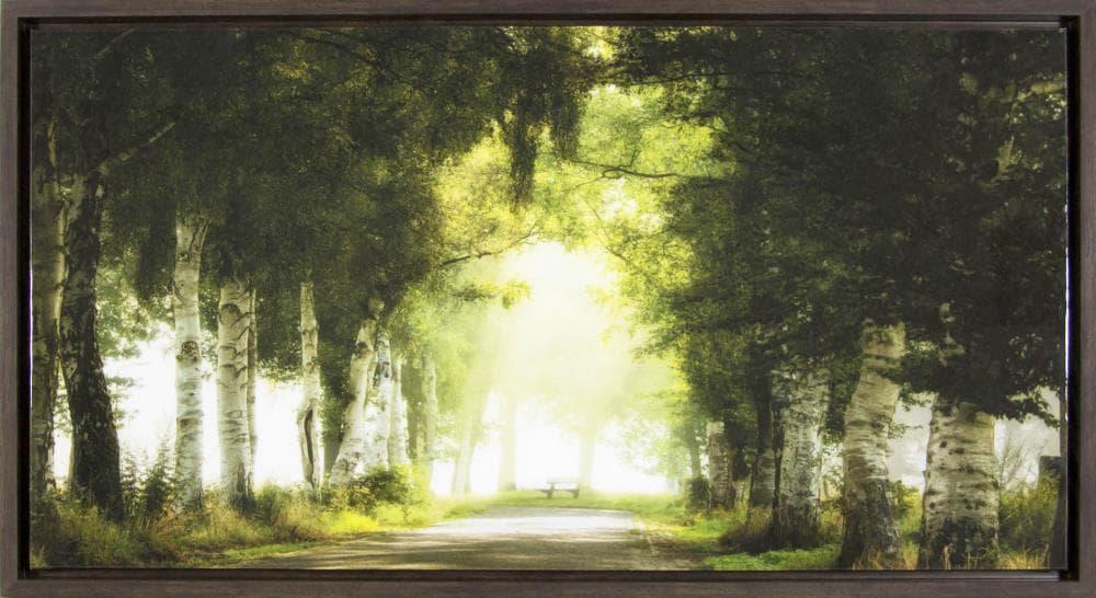  1607-8217LOW Brown Plastic Framed 24-in H x 44-in W Landscapes Canvas Print