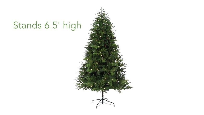 A thumbnail for the video