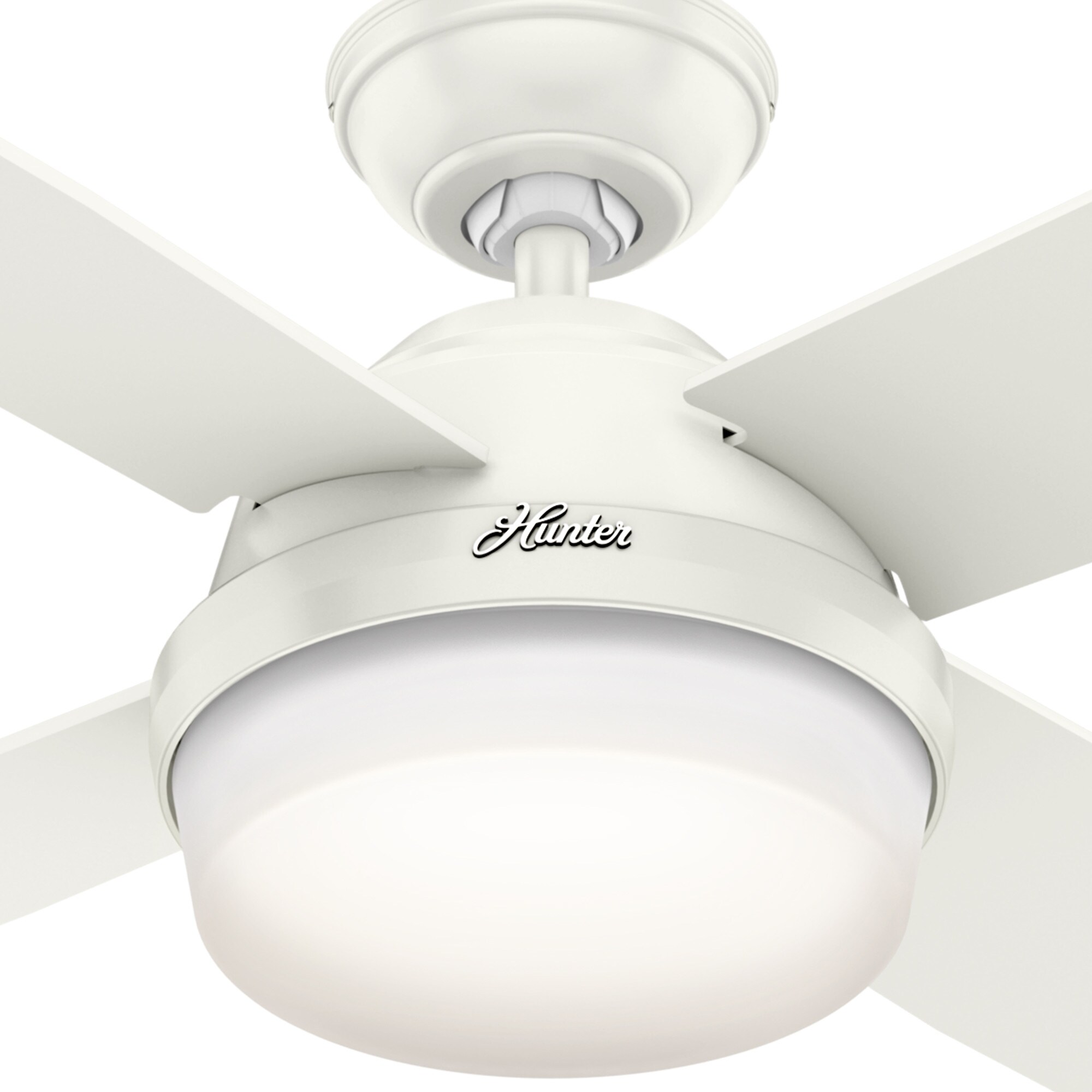Hunter 59442 Ceiling-Fans - View #7