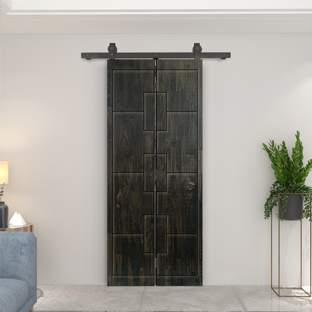 CALHOME 1100T+F216-80X38DT Barn-Doors - View #2