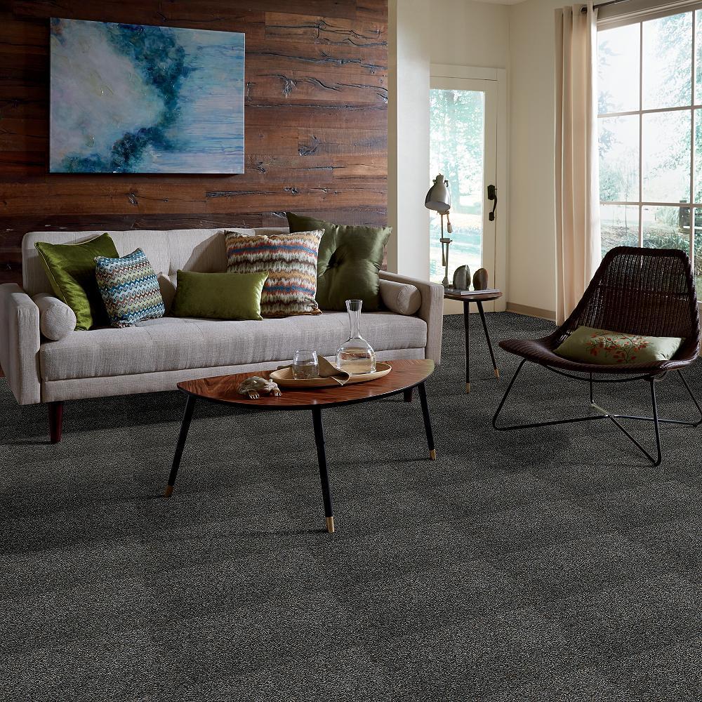STAINMASTER PetProtect Mineral Bay I 12 Ft Marina Textured