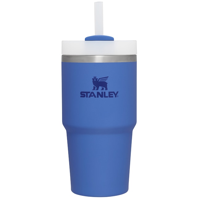 Stanley Quencher 20-fl oz Stainless Steel Insulated Tumbler in the Water  Bottles & Mugs department at