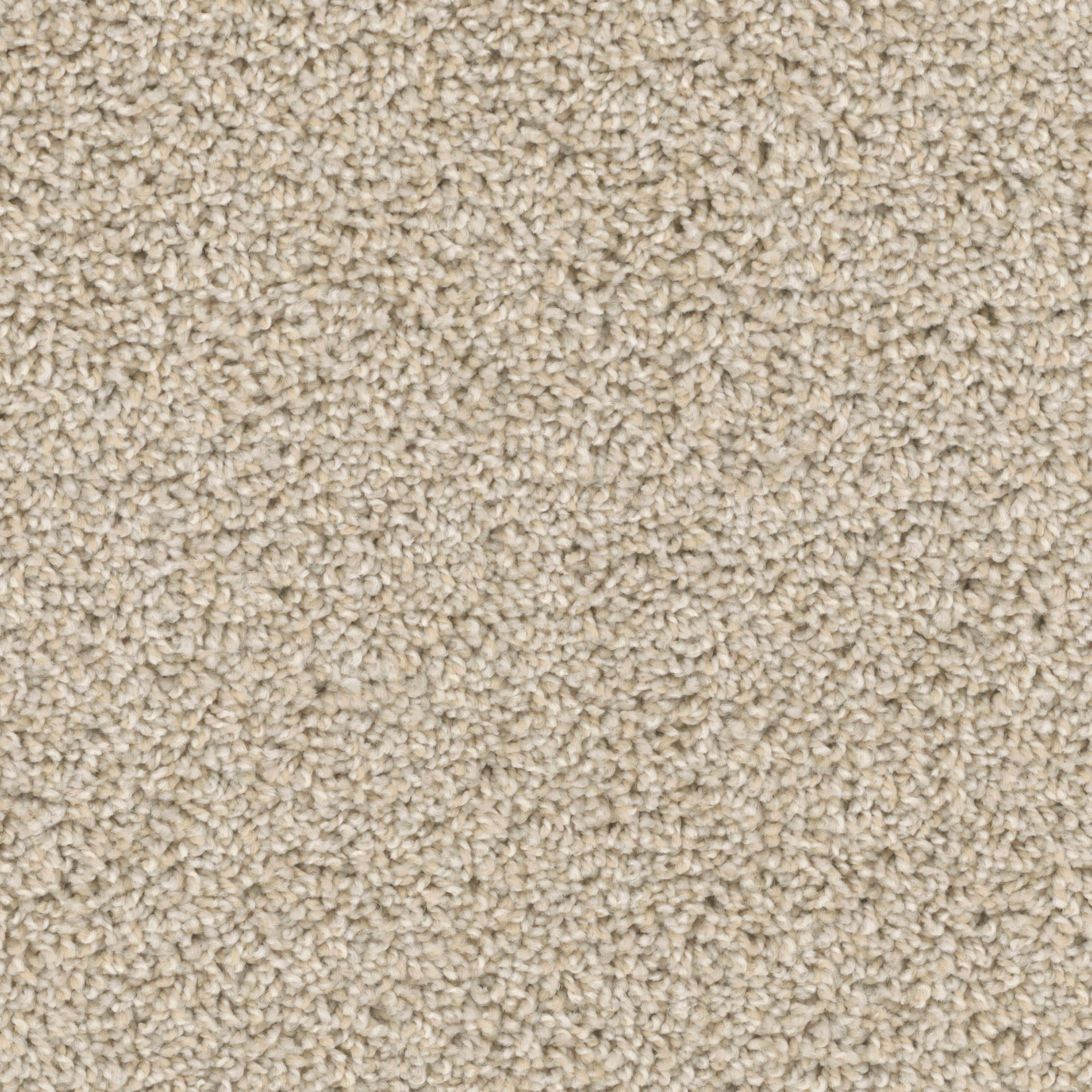 STAINMASTER PetProtect S9340-911-S (Sample) Druid Hills Haven Brown 40-oz sq yard Nylon Textured Indoor Carpet