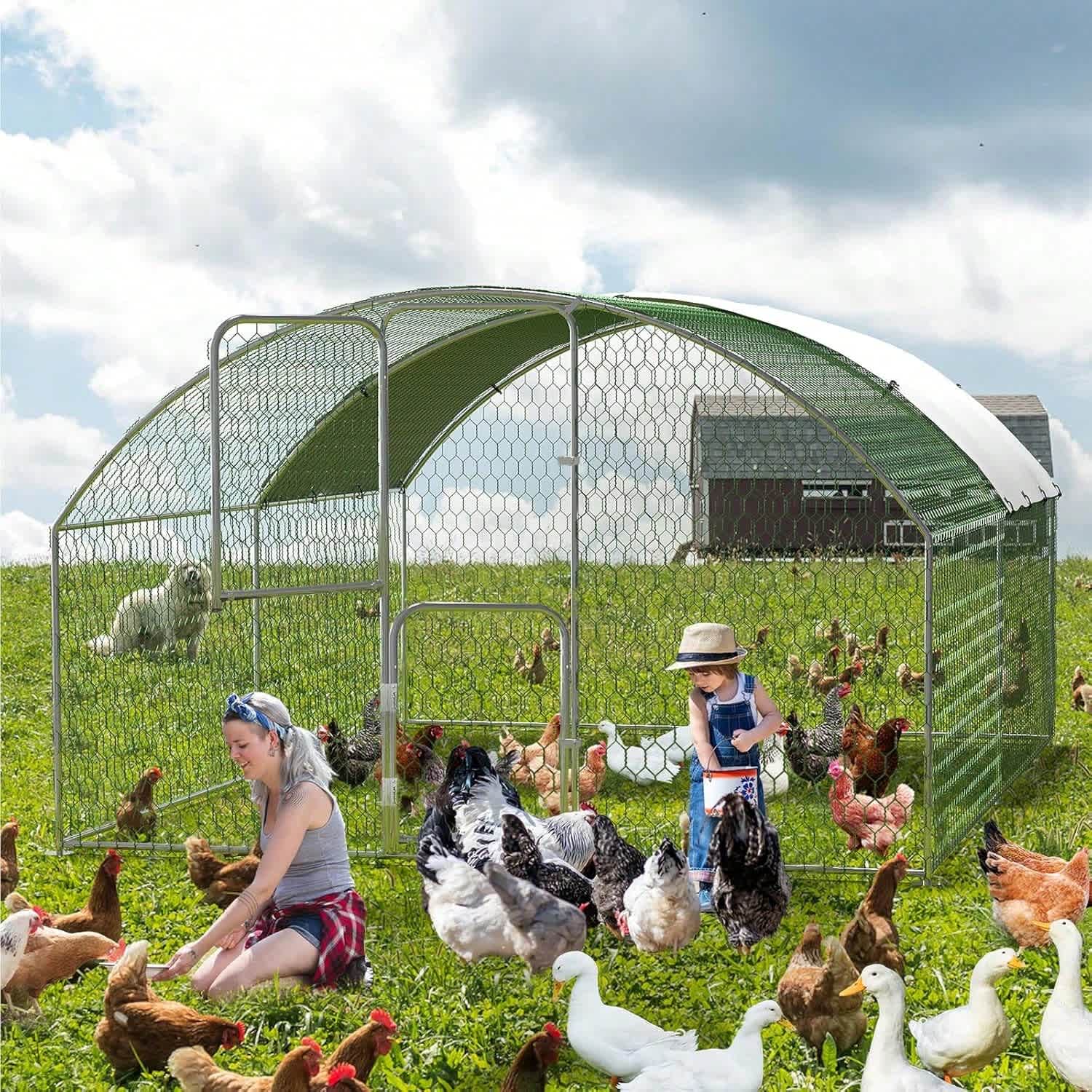 WhizMax BY02-PPG-333L5S8X Chicken-Coops-Rabbit-Hutches - View #2