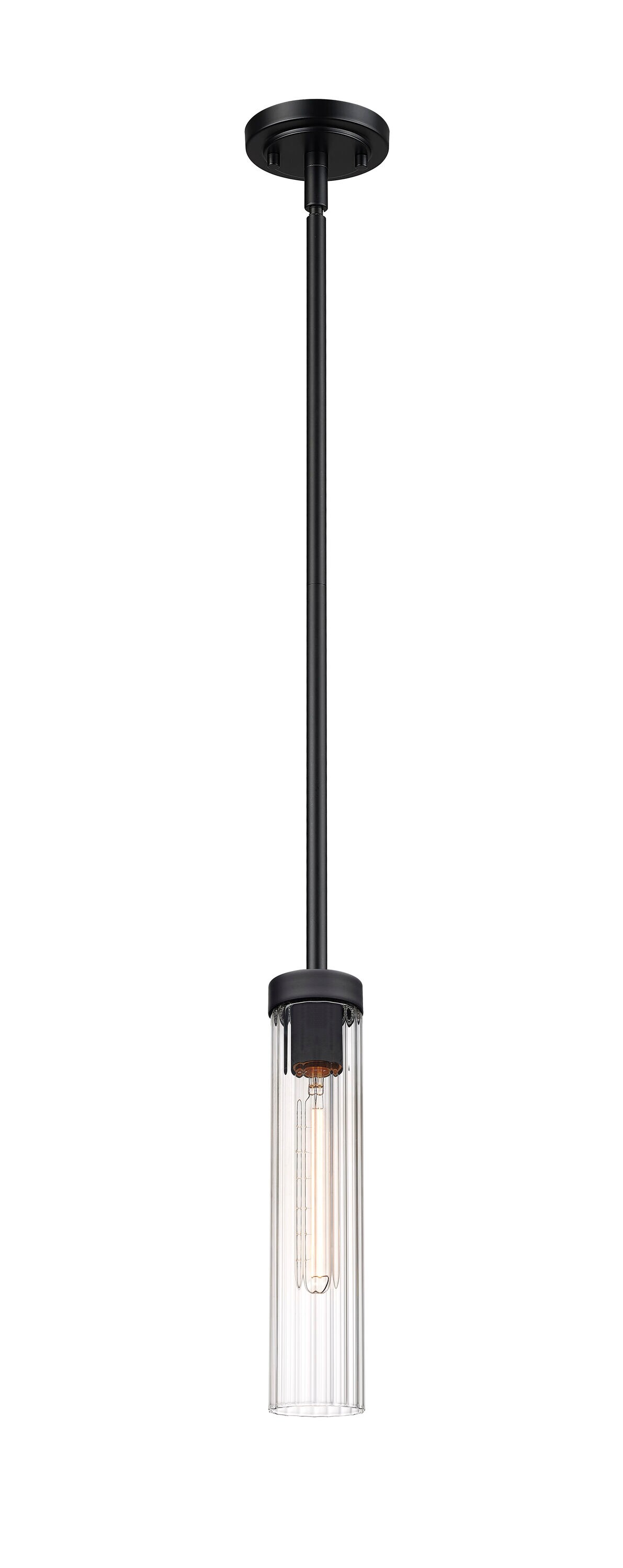 Matte Black Steel and Glass 12.75" Indoor/Outdoor Pendant Light