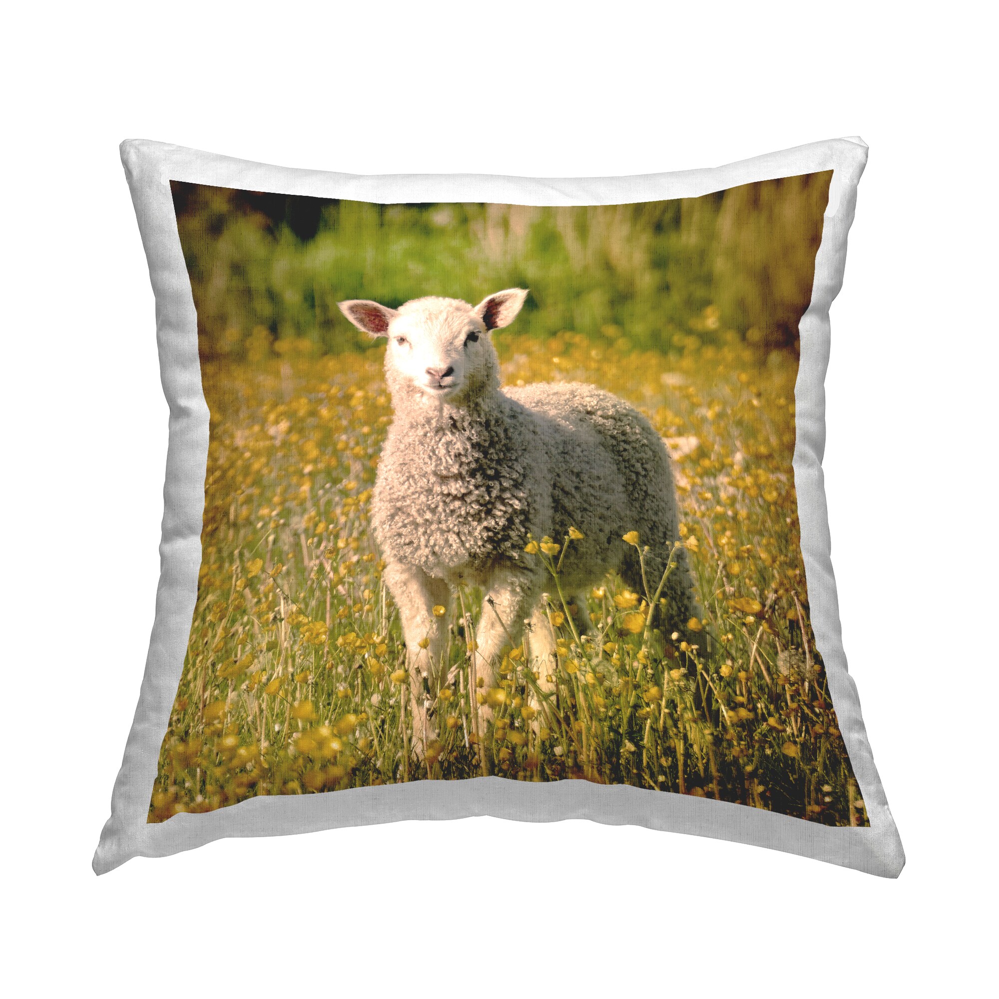 Stupell Industries PLA-391-SQW-18X18 18-in x 18-in Green Square Indoor Decorative Pillow
