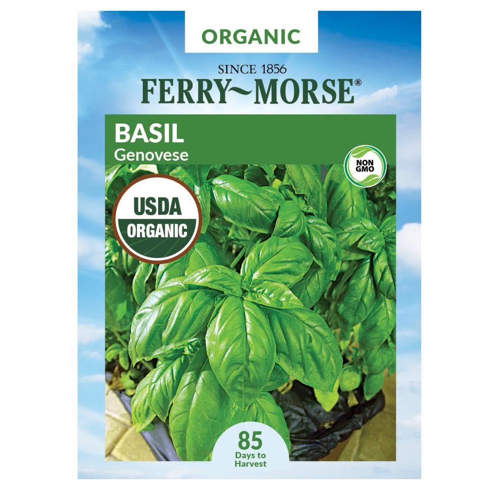 Ferry Morse Organic 350 mg Basil Genovese Herb Seed Packet at