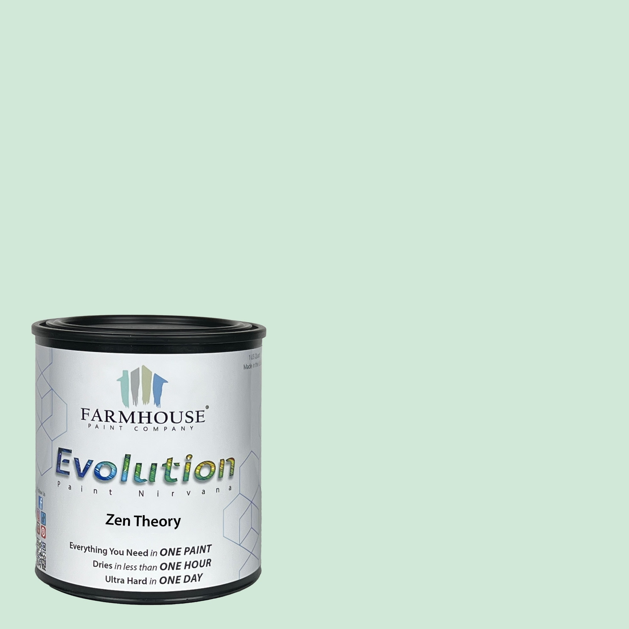 Evolution Paint EVP-ZT-Q Satin Zen Theory Enamel ( 1-quart )
