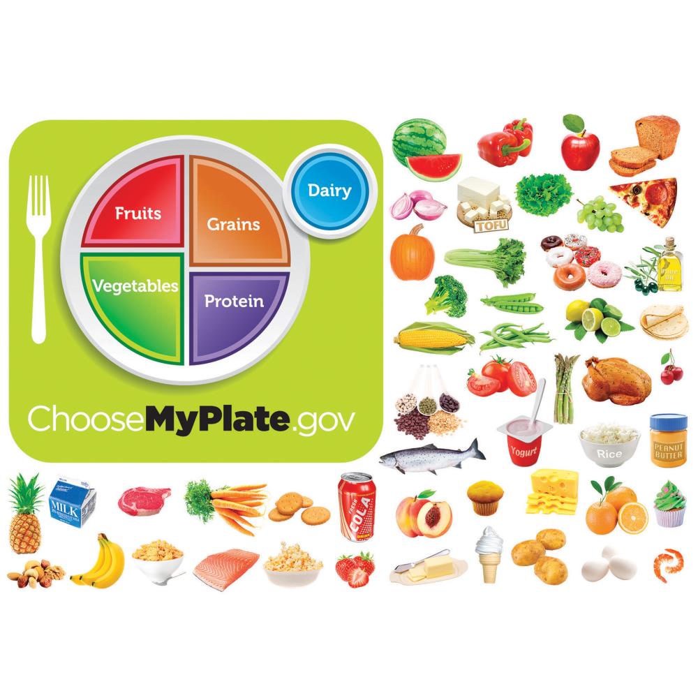 Little Folk Visuals LFV22513 MyPlate Flannelboard Set