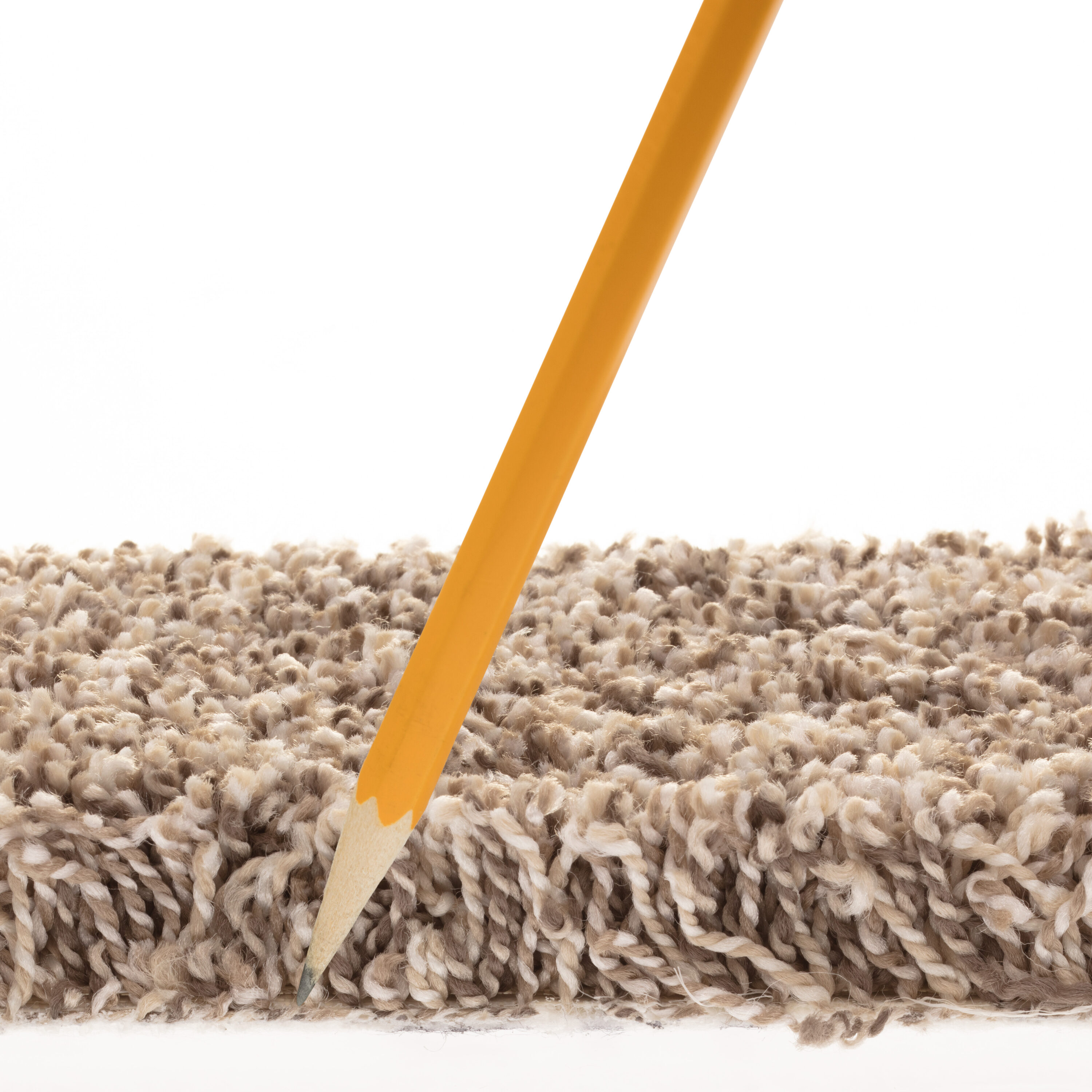 STAINMASTER 7L895 - 112 - SAMP Carpet-Samples - View #7