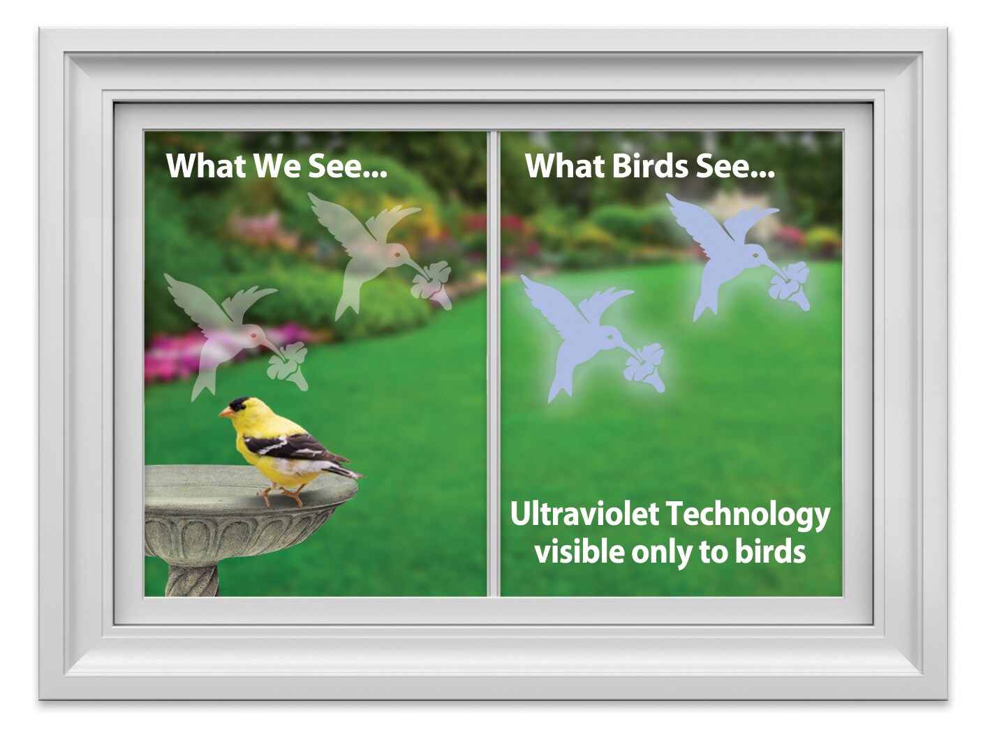 WindowAlert HUMMINGBIRD DECALS Bird-Feeder-Accessories - View #2
