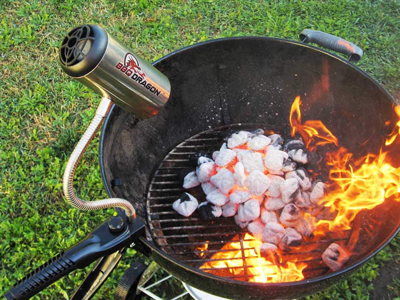 aankunnen Seminarie Communisme BBQ Dragon 1-oz Electric Starter in the Charcoal & Accessories department  at Lowes.com