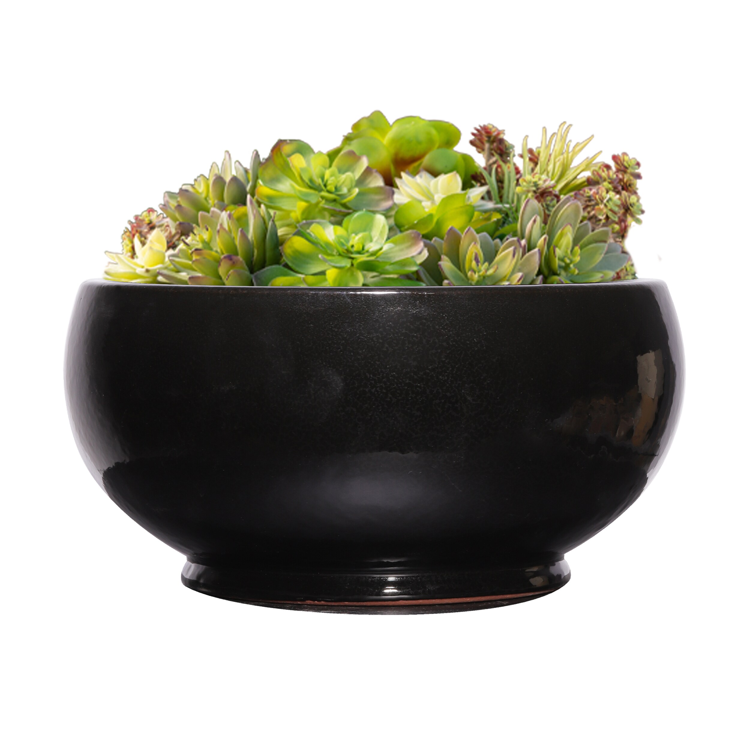 Trendspot Round 20.86-in W Large Black Ceramic Outdoor Planter With ...