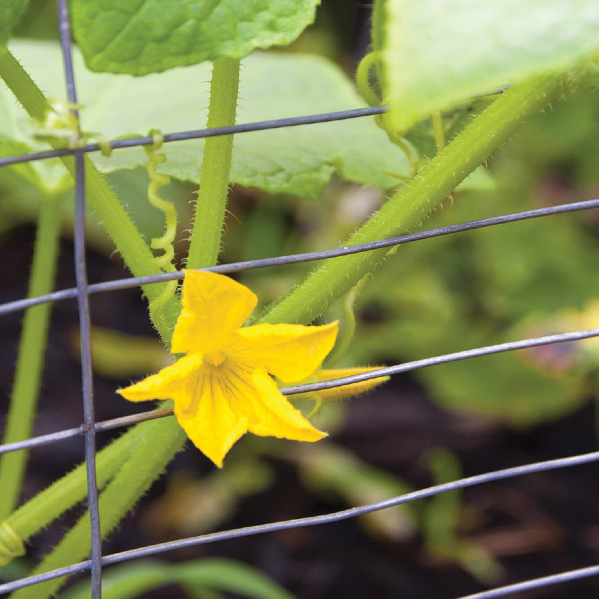 GARDEN CRAFT 342850S Rolled-Fence - View #6