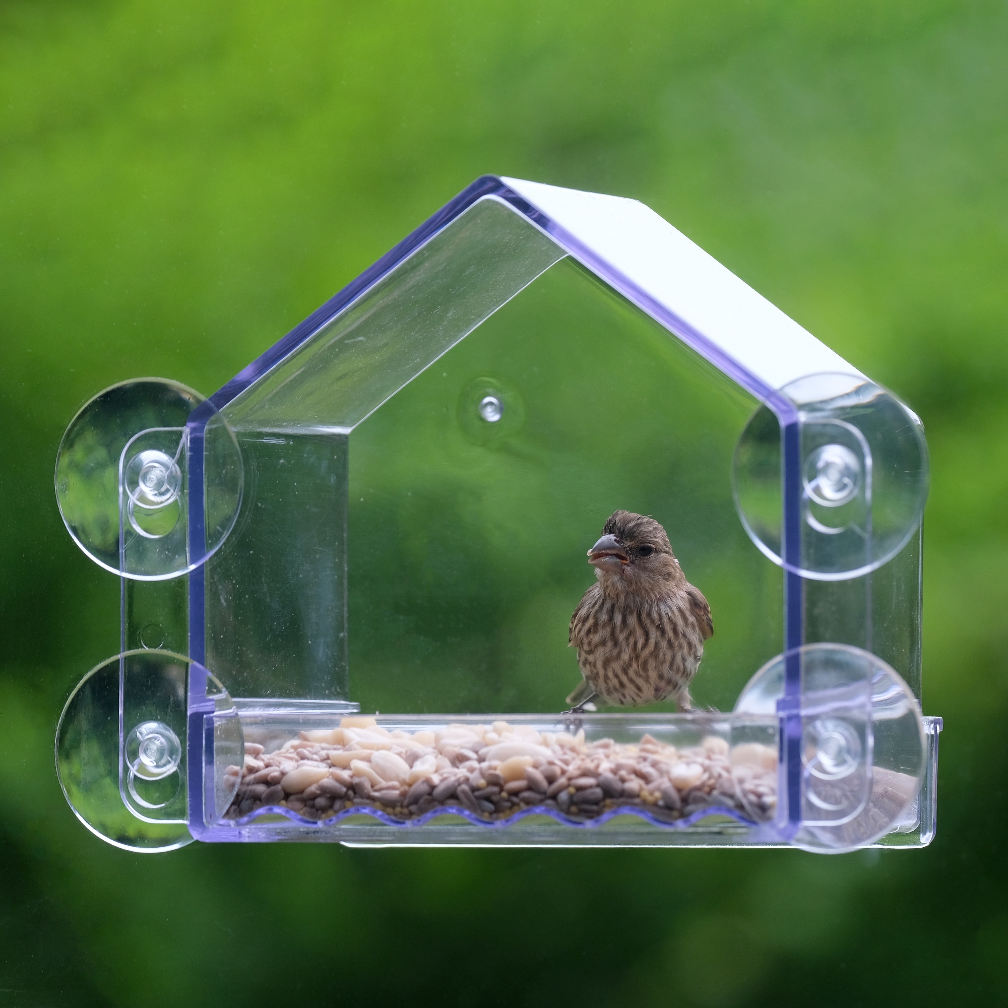 Nature's Way WIN-3-CP1 Bird-Feeders - View #2