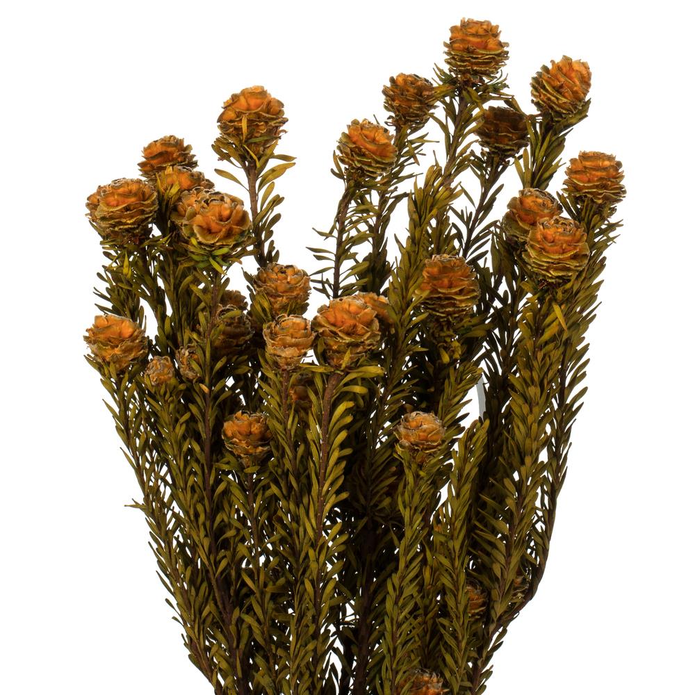 Vickerman H1TOF750-2 Artificial-Plants-Trees - View #2