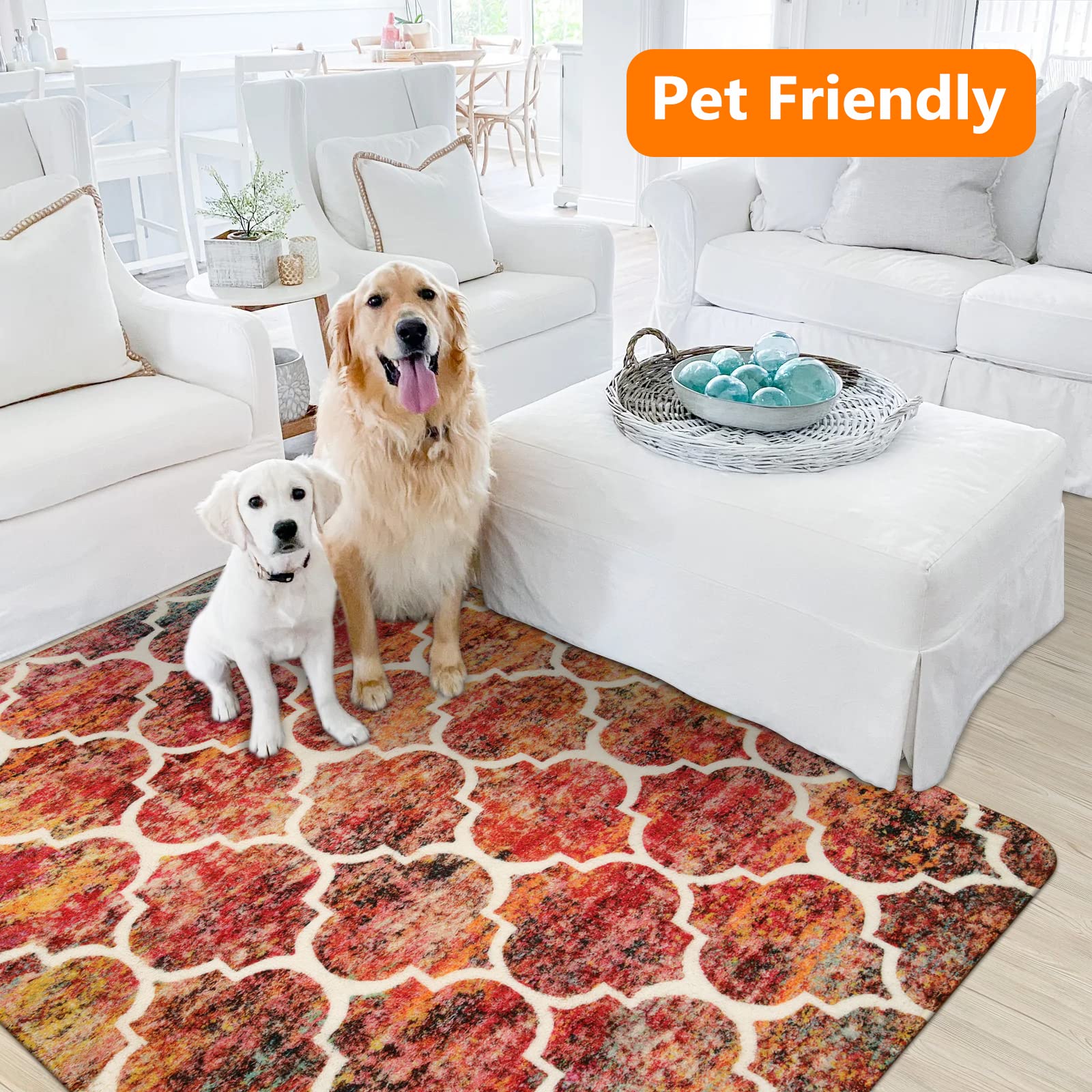 Lahome AR-FYR-005-R2 rugs - View #4