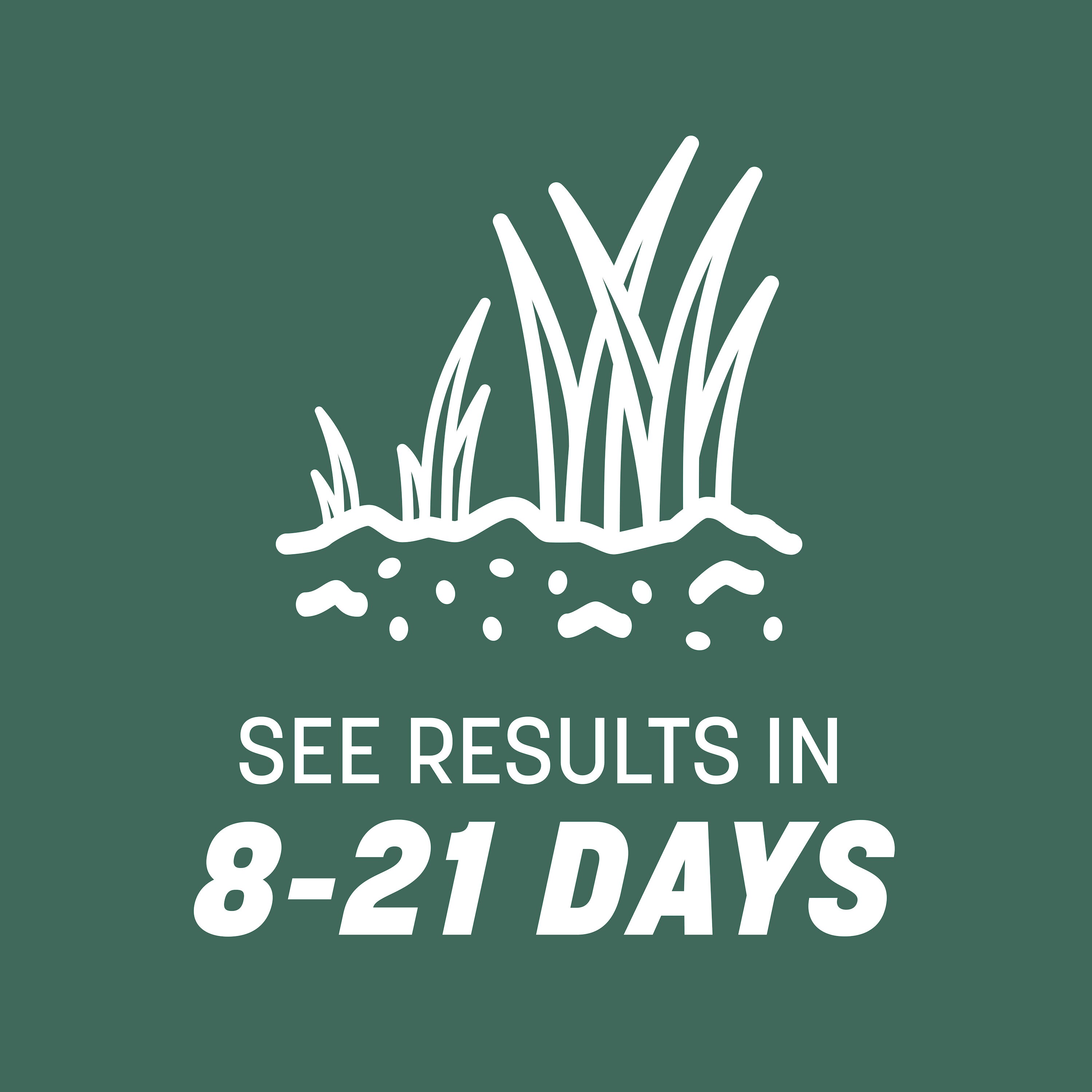 Pennington 2149602260 Grass-Seed - View #8