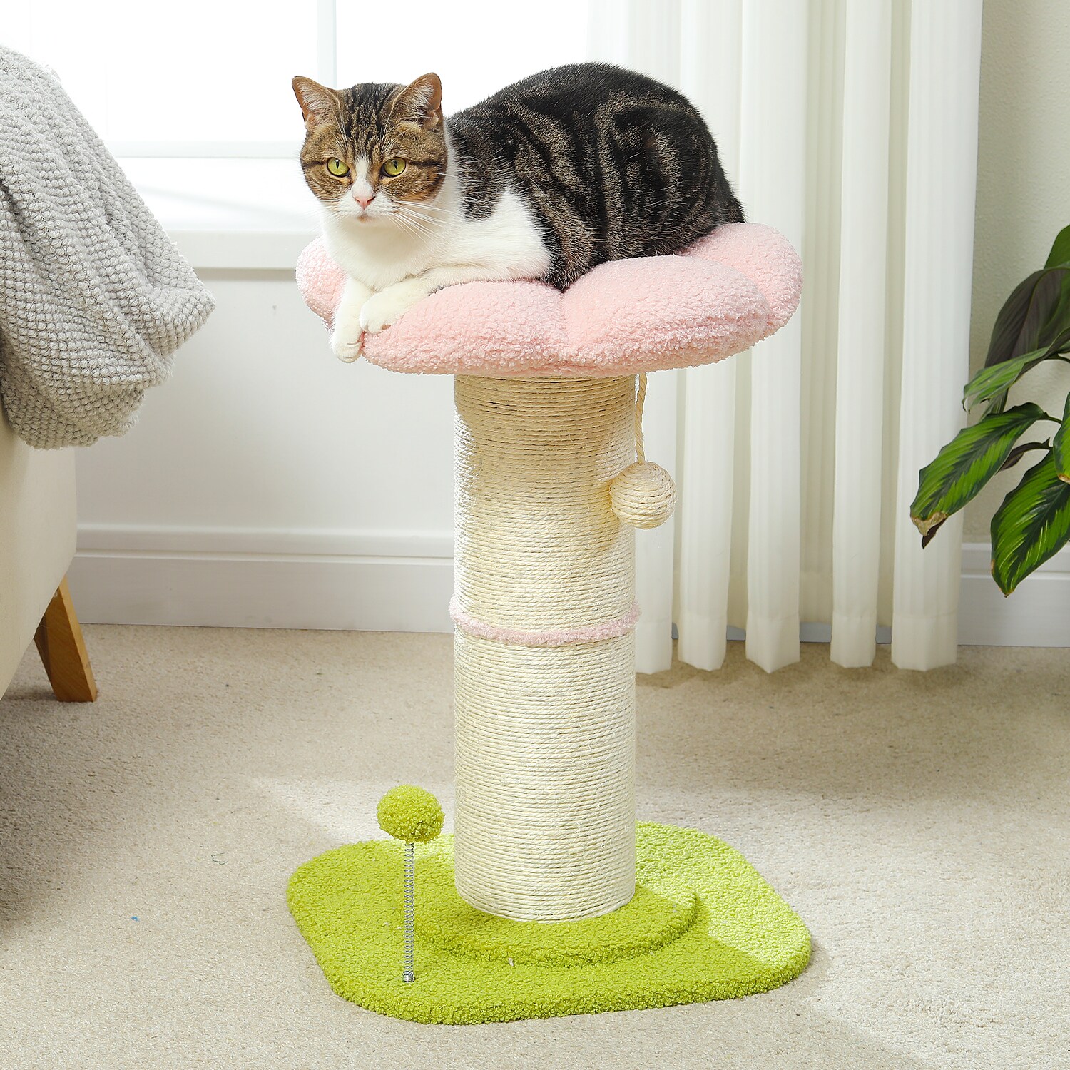 Cenadinz XCHAMT0263PK Cat-Trees - View #8