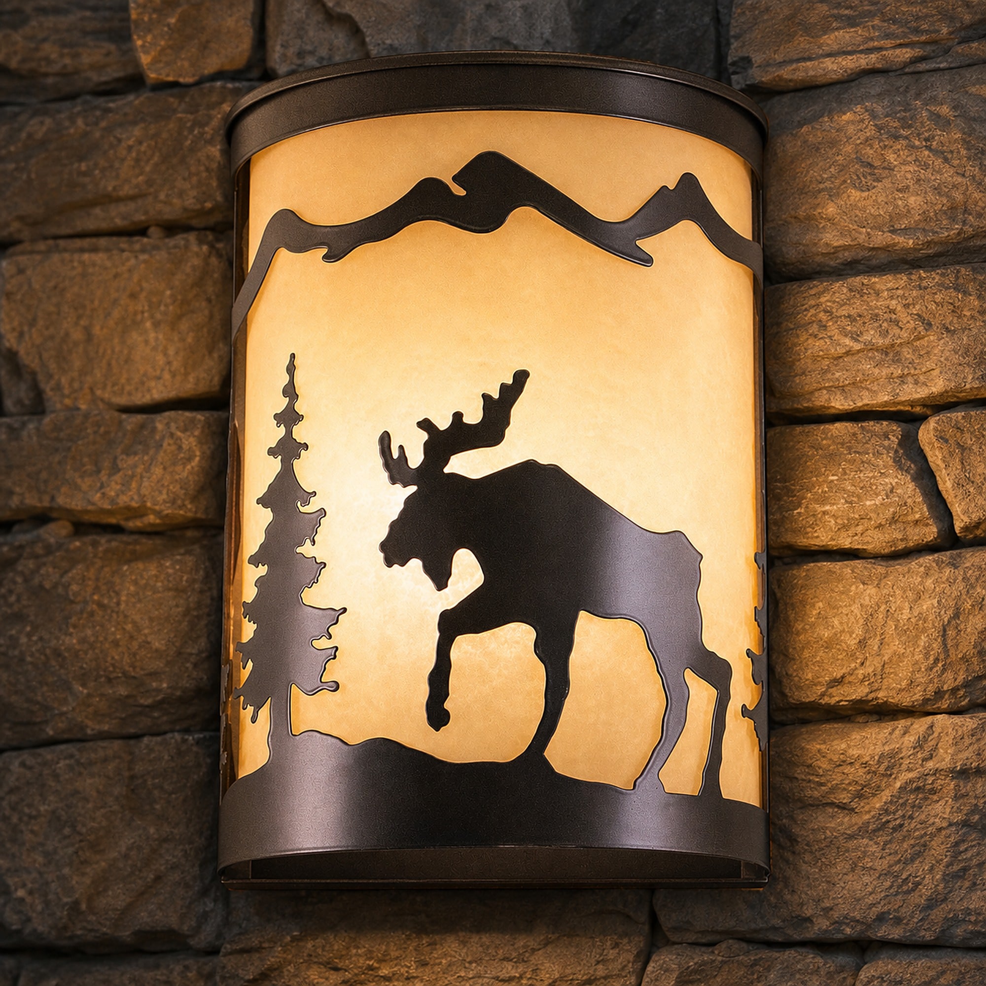 Cascadia LightScapes 1 -Light 11-in H Oil-rubbed Bronze Hardwired Outdoor Wall Light
