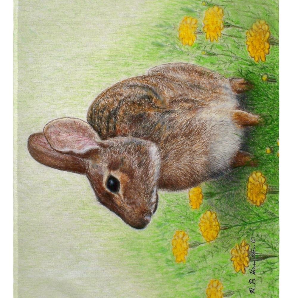 Betsy Drake Interiors BTDR3573 Betsy Drake PM053 14 x 18 in. Rabbit Place Mat- Set of 4