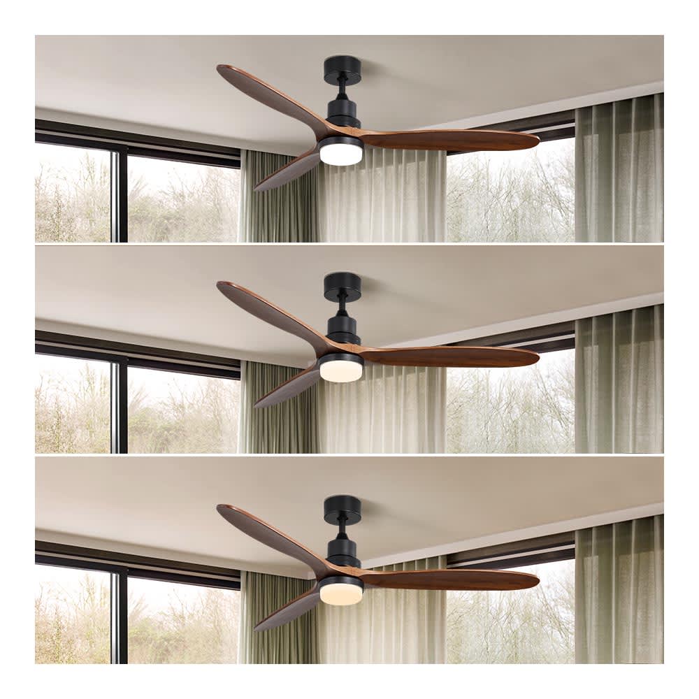 JUJABU FAN-11 Ceiling-Fans - View #3