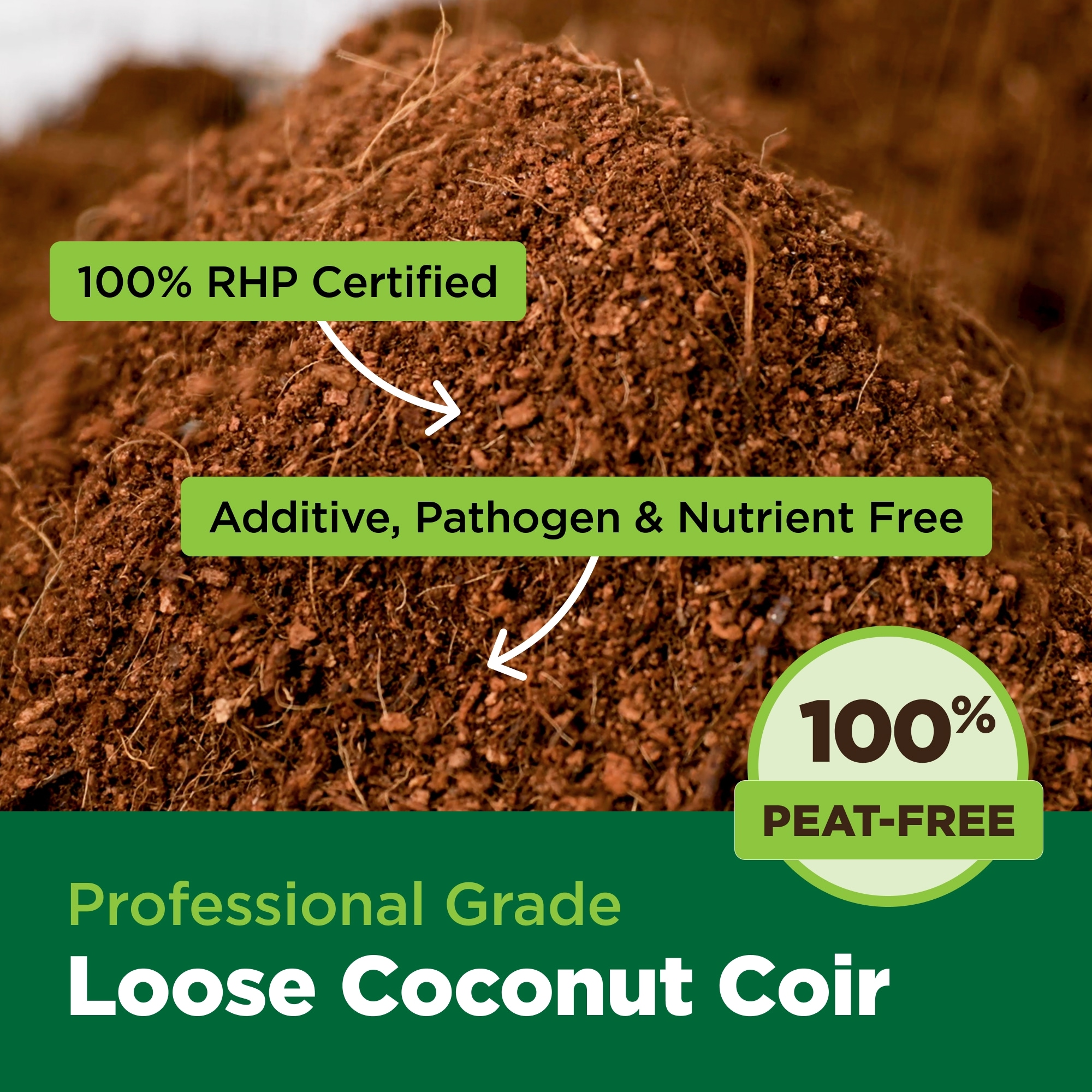 チャタロウチ　コゴミ60株 Coconut Charcoal Hexagonal Briquette 40 lbs. | ZENFIYAH