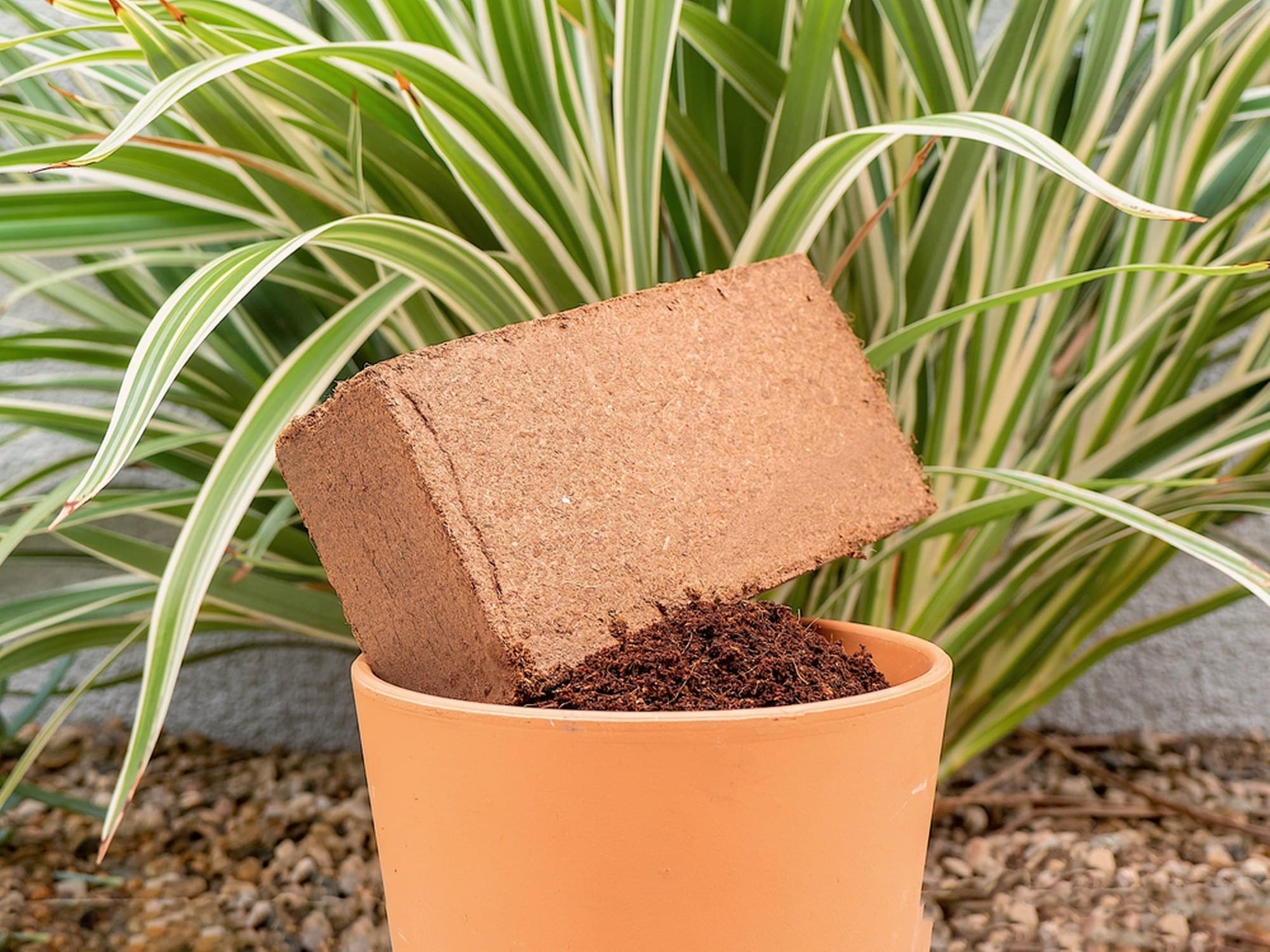 Envelor EN-CGM-15-6 Garden-Soil-Soil-Amendments - View #2