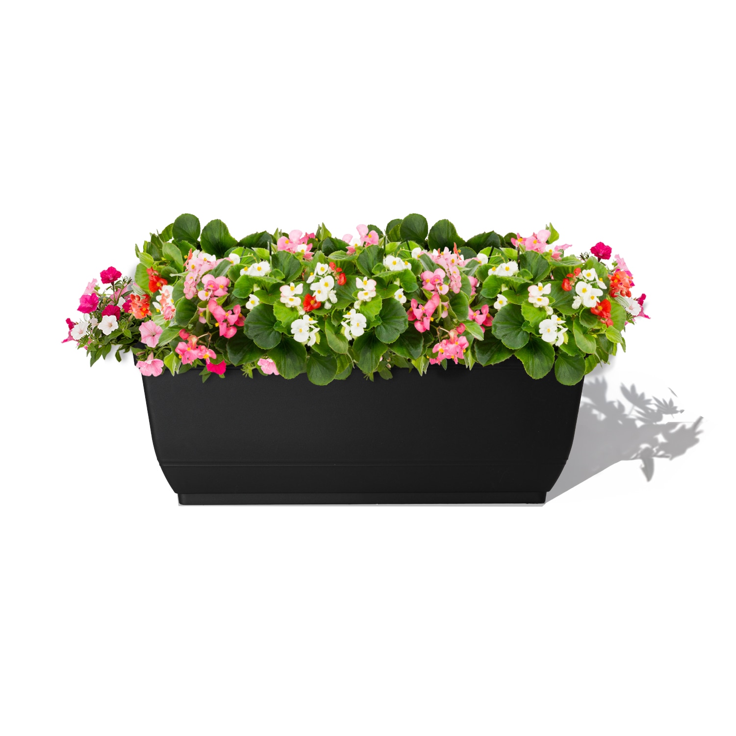 Style Selections WB2132H-BLACK Planter-Window-Box - View #2