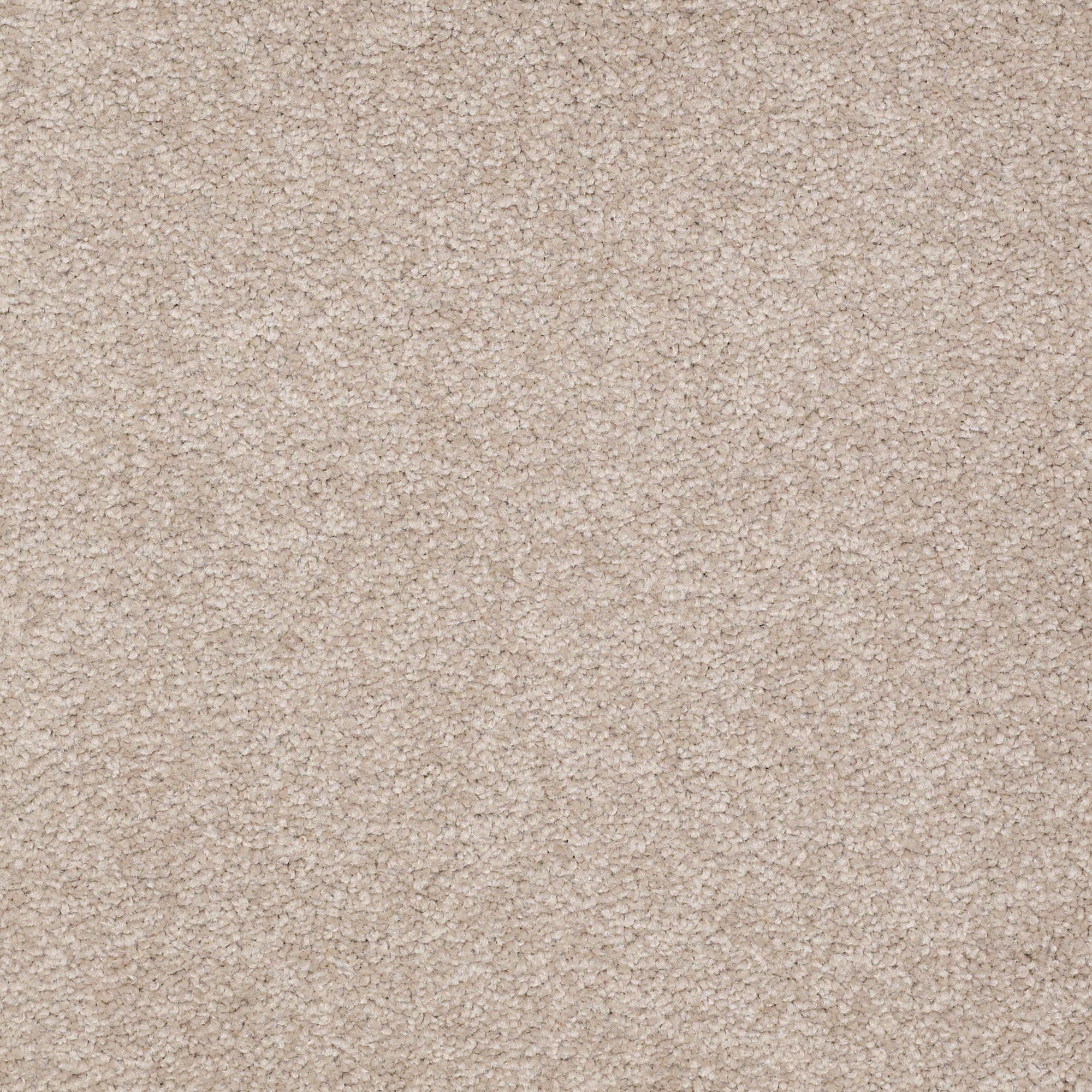 STAINMASTER PetProtect 7L88100105 Best Of Breed I Courtyard Tan Brown 48.8-oz sq yard Nylon Textured Indoor Carpet