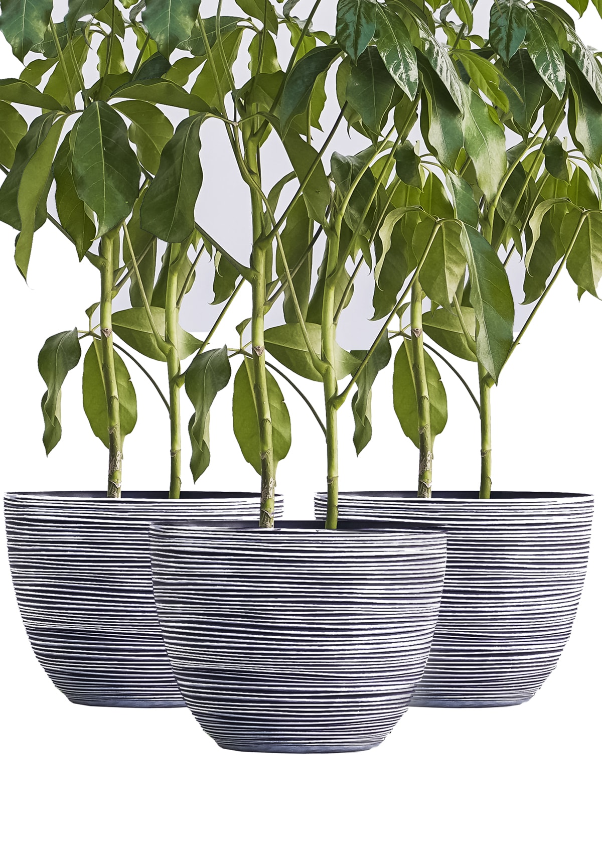 XBrand PL3417WT Planter-Window-Box - View #6