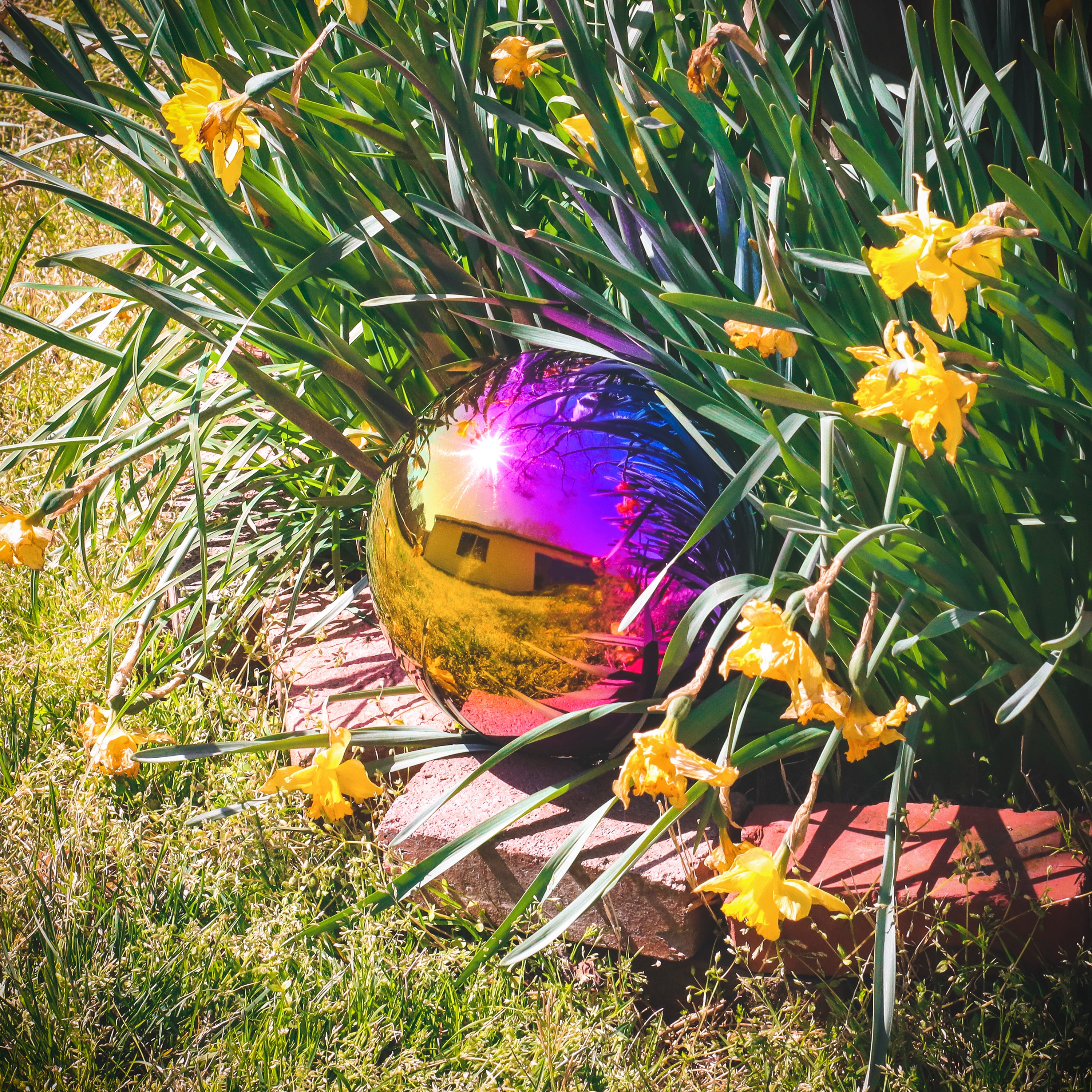 Rainbow Stainless Steel 8" Gazing Mirror Ball
