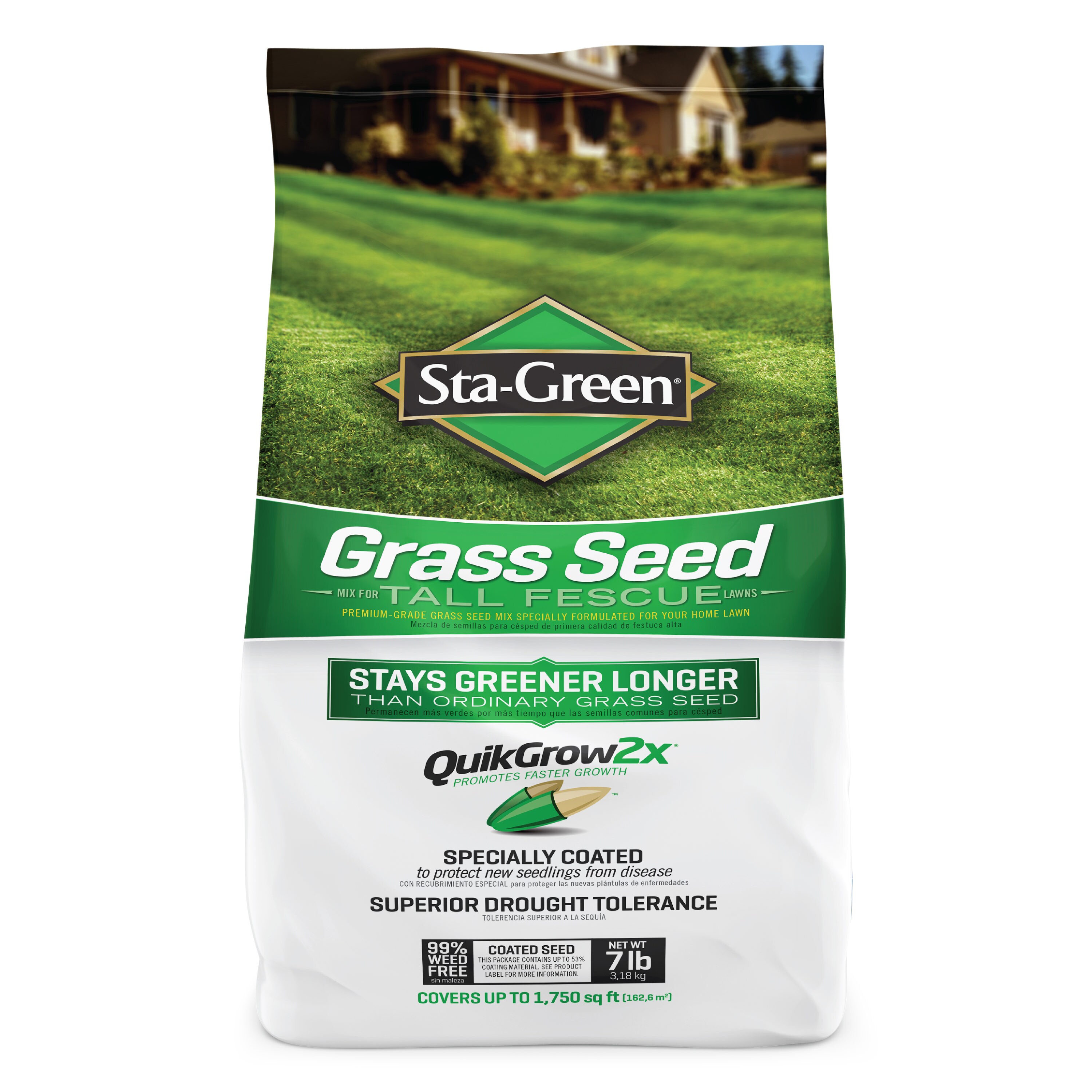10000x Tall Fescue Green Grass Seed Festuca Arundinacea Lawn Field SALE