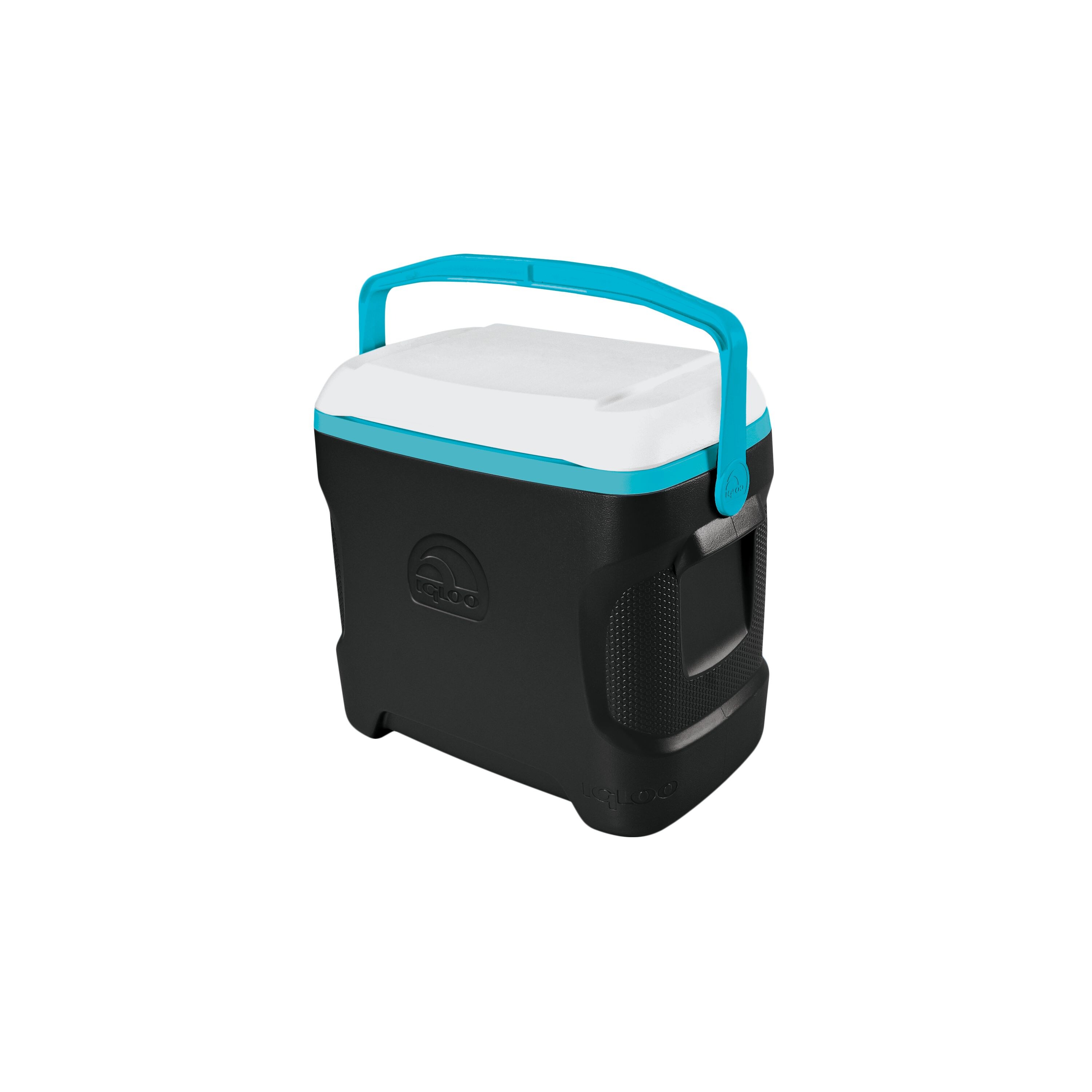 Igloo Black/Turquoise 30-Quart Insulated Personal Cooler at Lowes.com