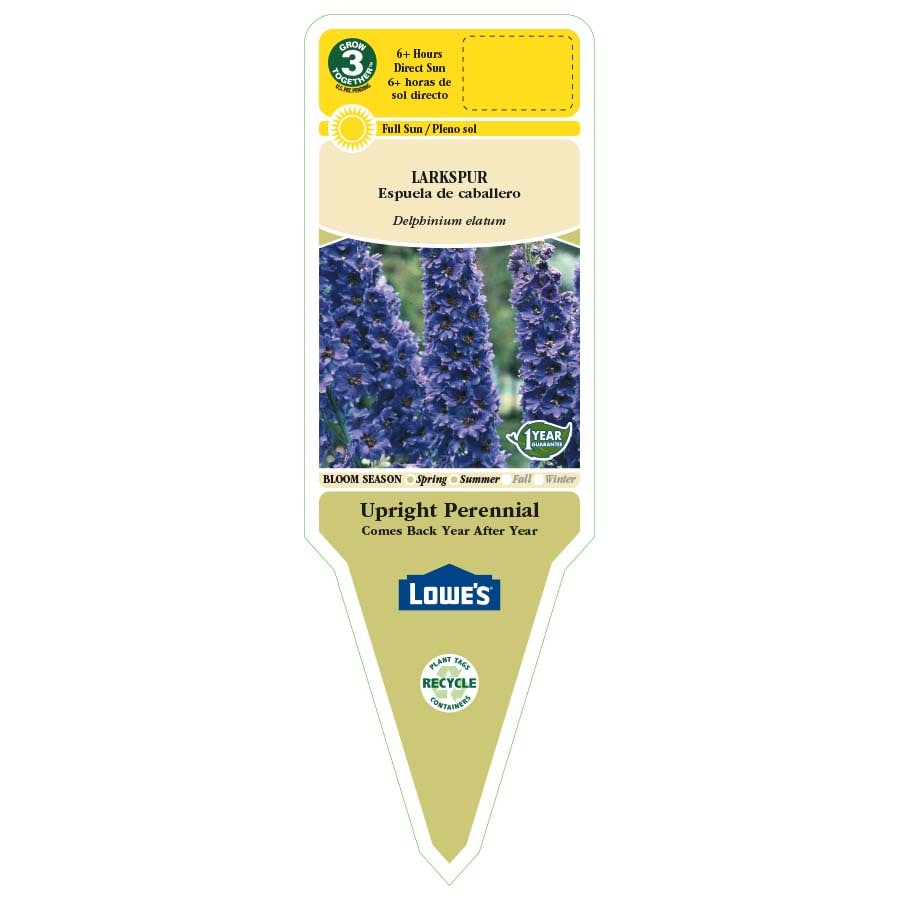 Lowe's 008914008808 perennials - View #2