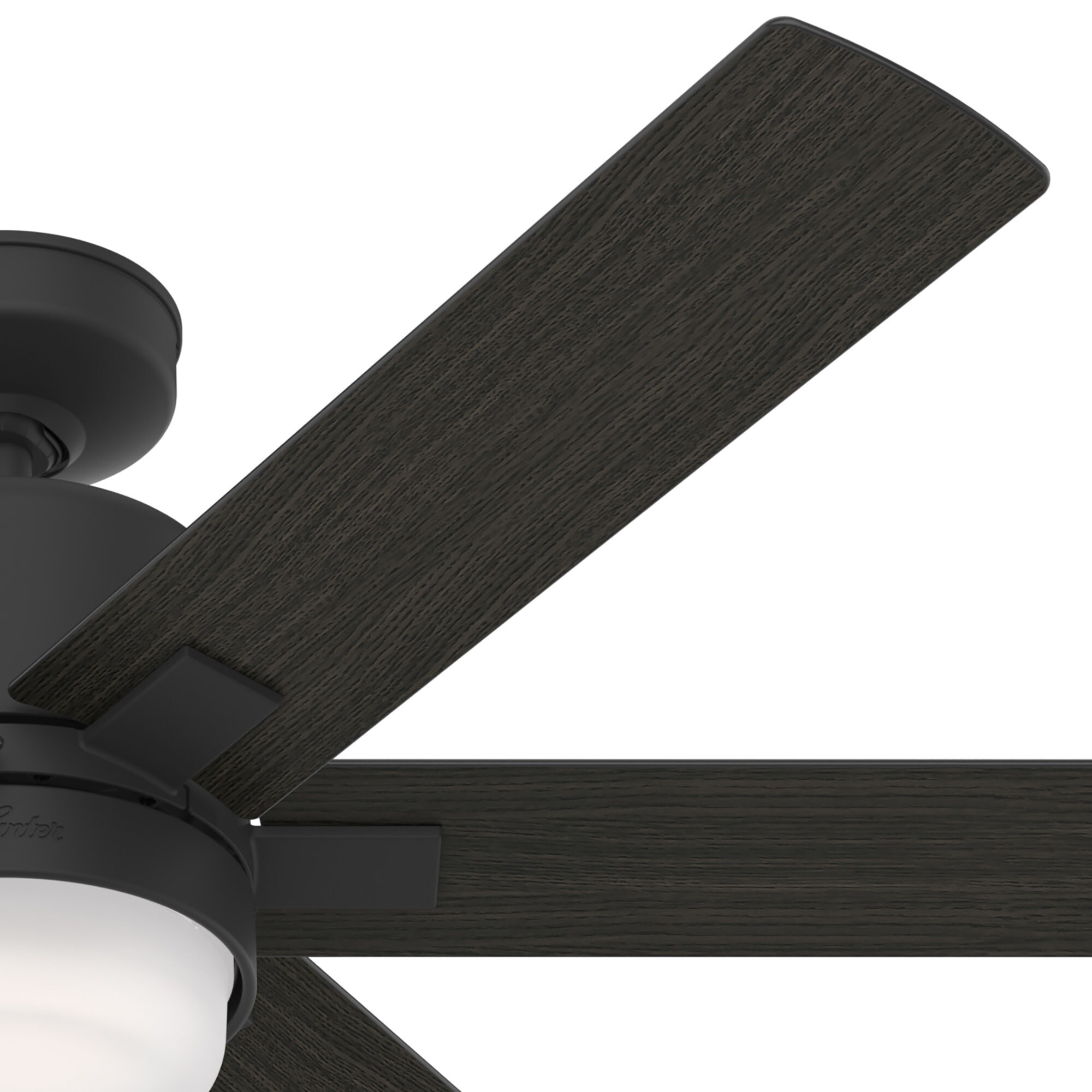 Hunter 50980 Ceiling-Fans - View #6