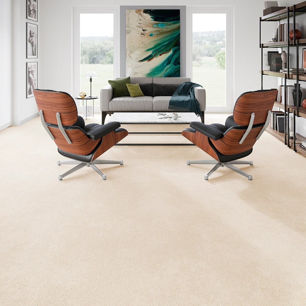 STAINMASTER PetProtect SS007-L006-0808 Carpet-Samples - View #5