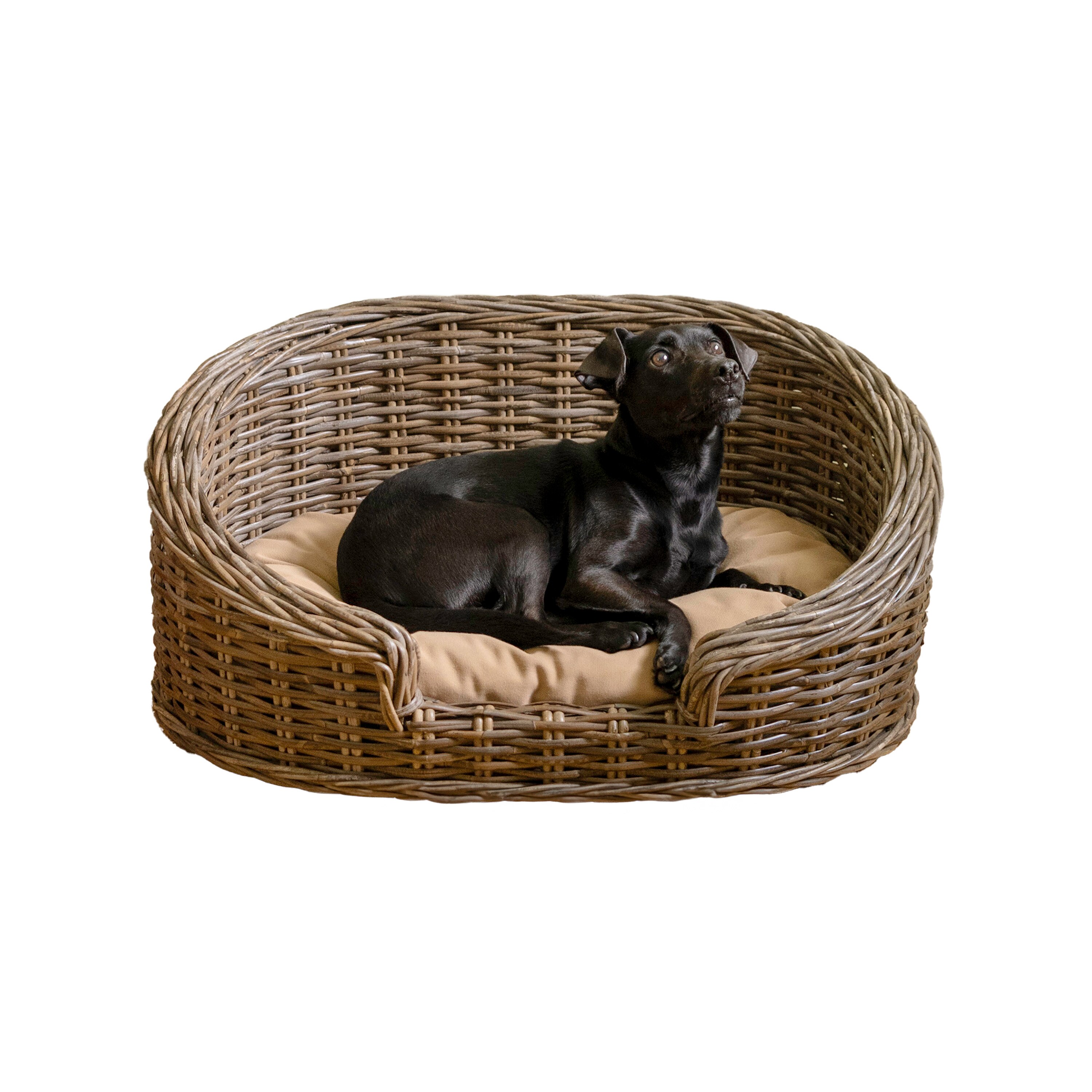 The Licker Store DBD1000A Oval Kubu Gray Polyester Bolster Dog/Cat Bed ( Medium )