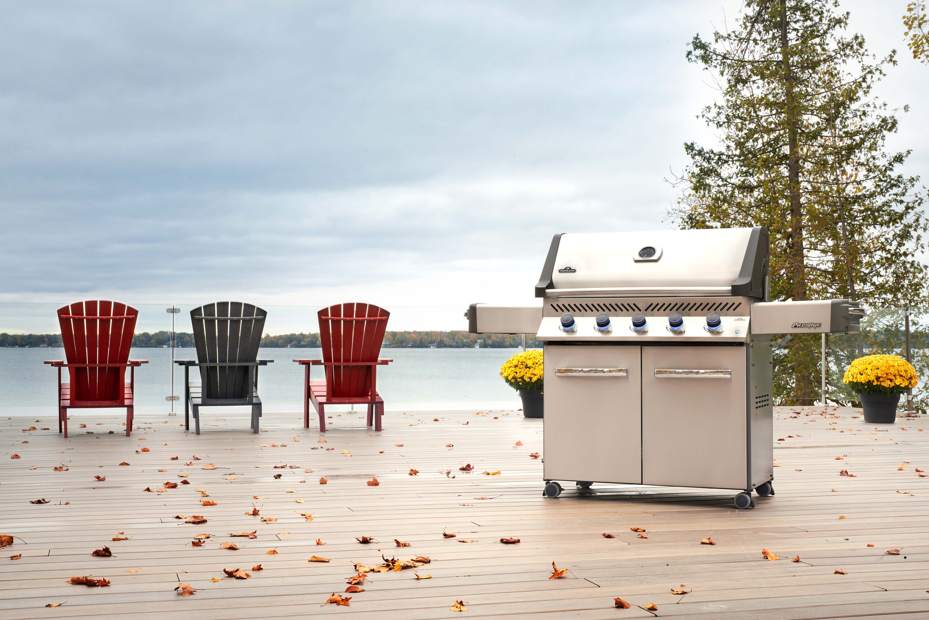 NAPOLEON P665PSS Gas-Grill - View #2