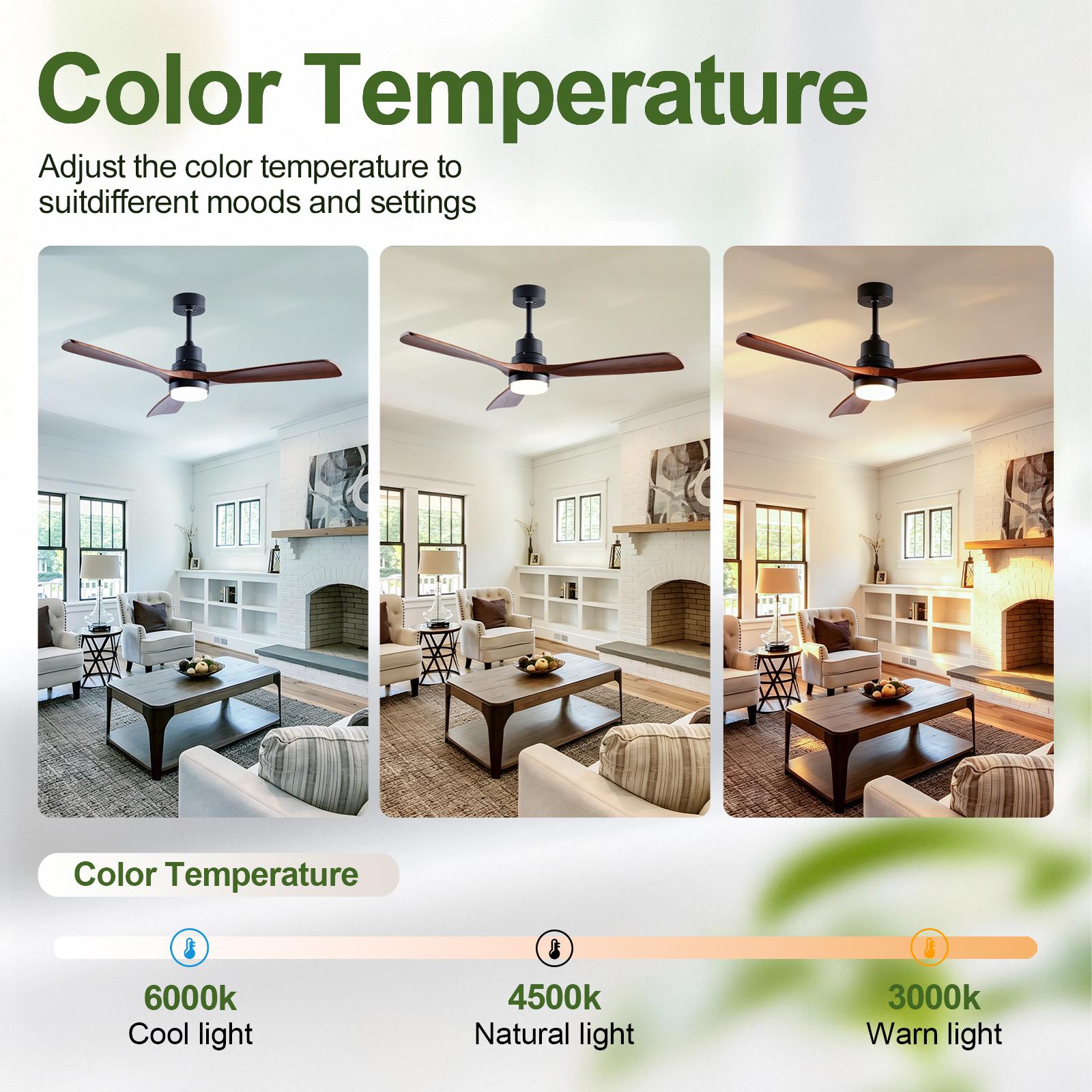 Bayfeve BF-461549-MP Ceiling-Fans - View #4