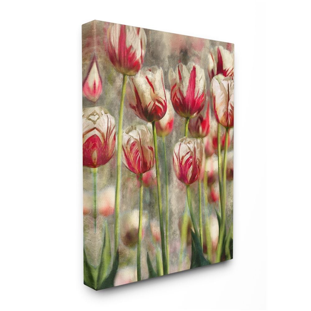 Stupell Industries AB-918-CN-16X20 Spring Tulips in Flower Field Pink White Ziwei Li Gallery Wrapped Canvas 20-in H x 16-in W Floral Canvas Print