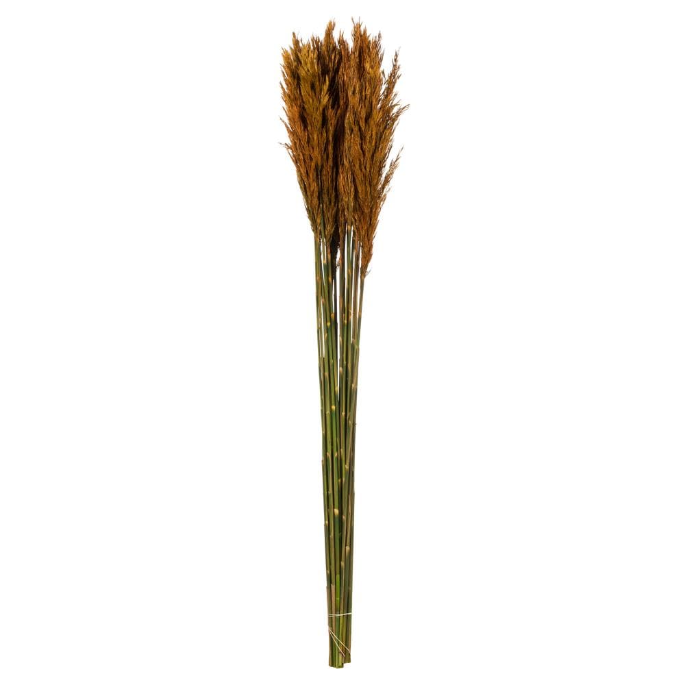 Vickerman 36-in Autumn Indoor Artificial Preserved Artificial Plant at ...