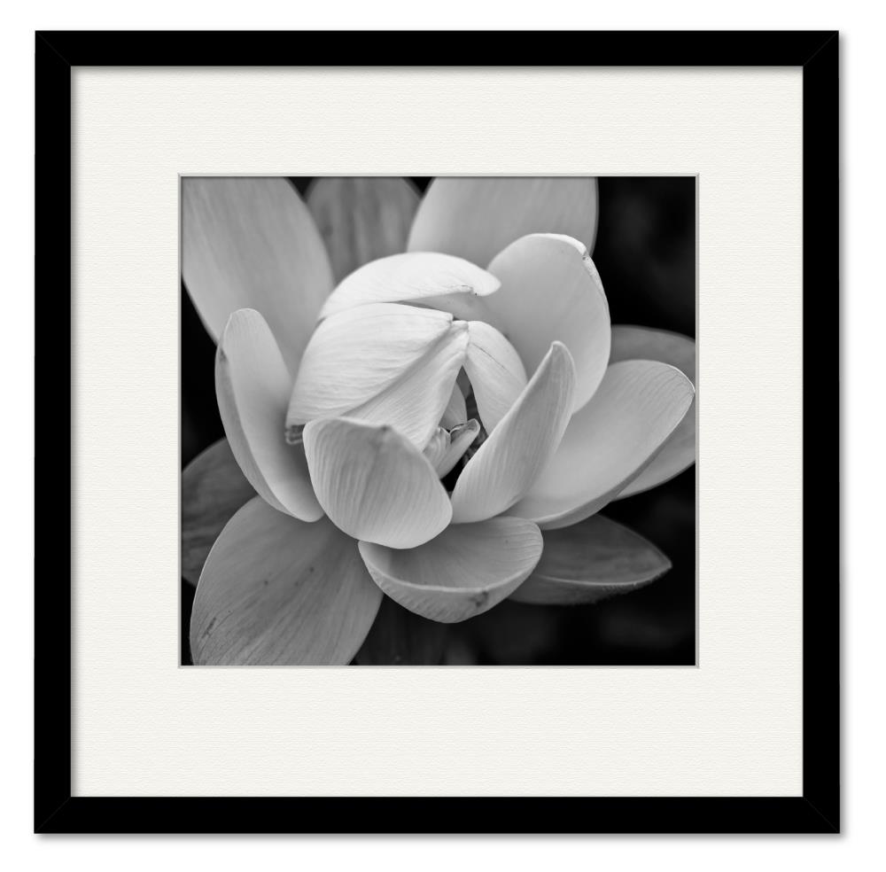 Courtside Market Magnolia Blue I Gallery-Wrapped Canvas Wall Art, 16x16