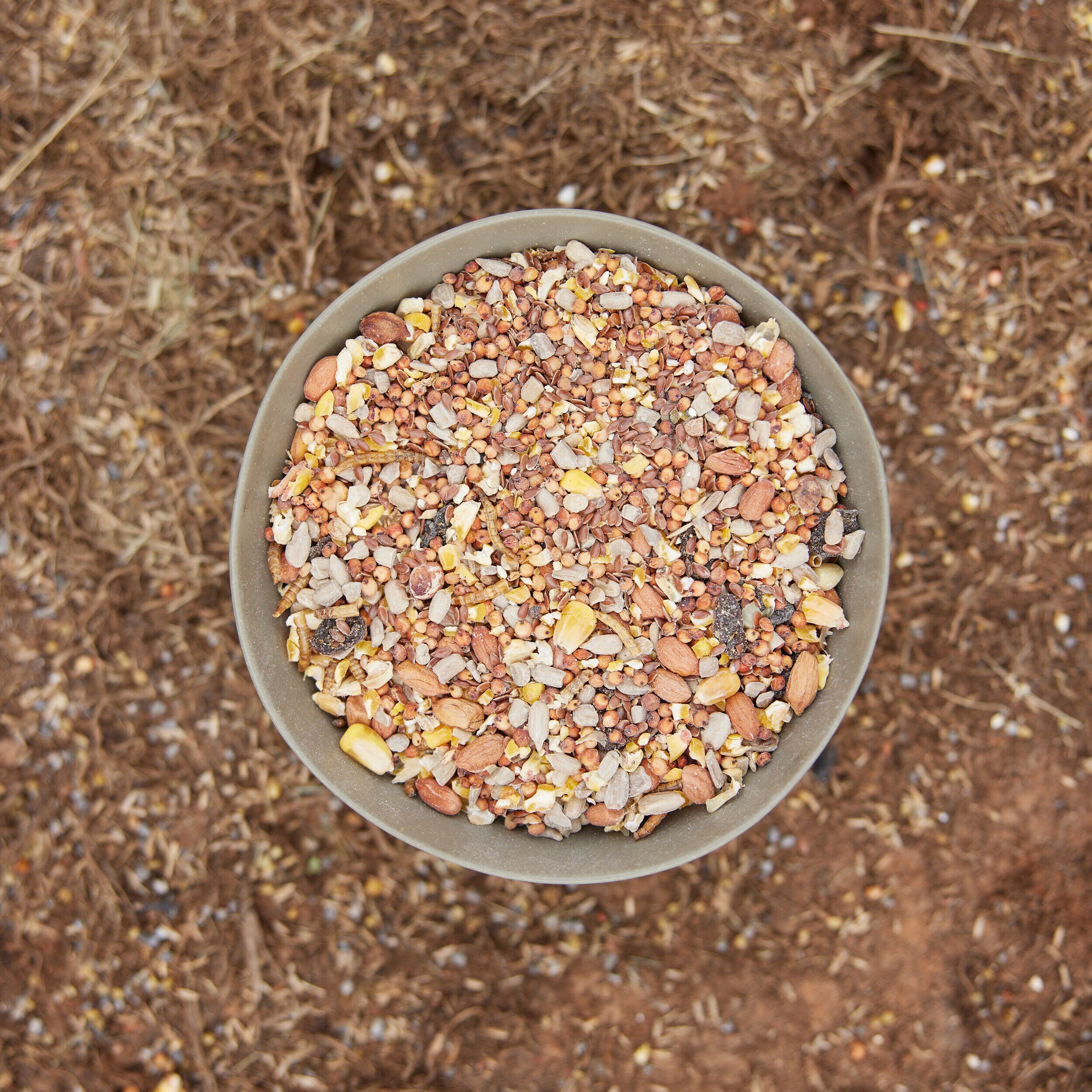 Pecking Order 009326 Poultry-Feed - View #6