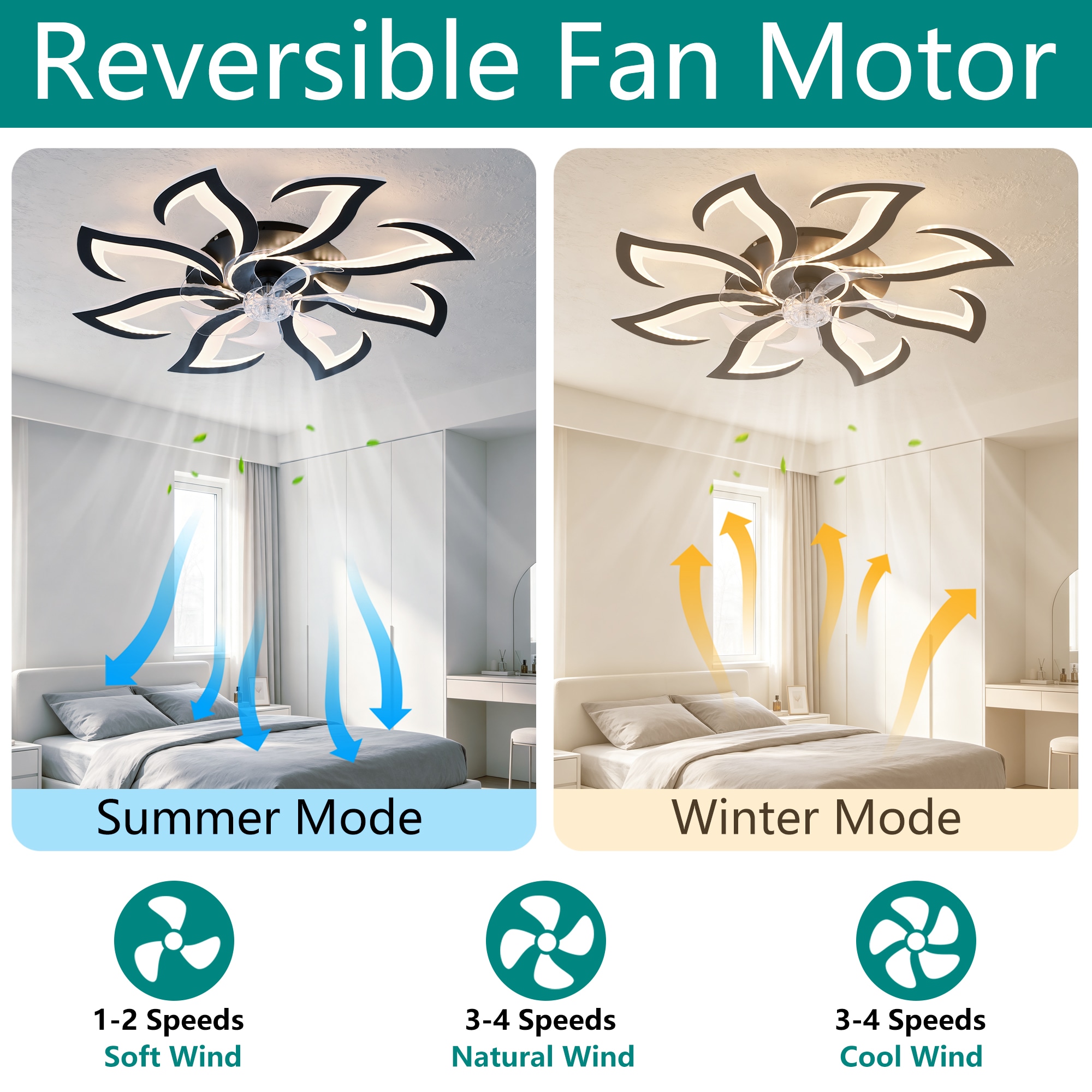 RCCFBHM FSDDSCRAA43263  - View #8