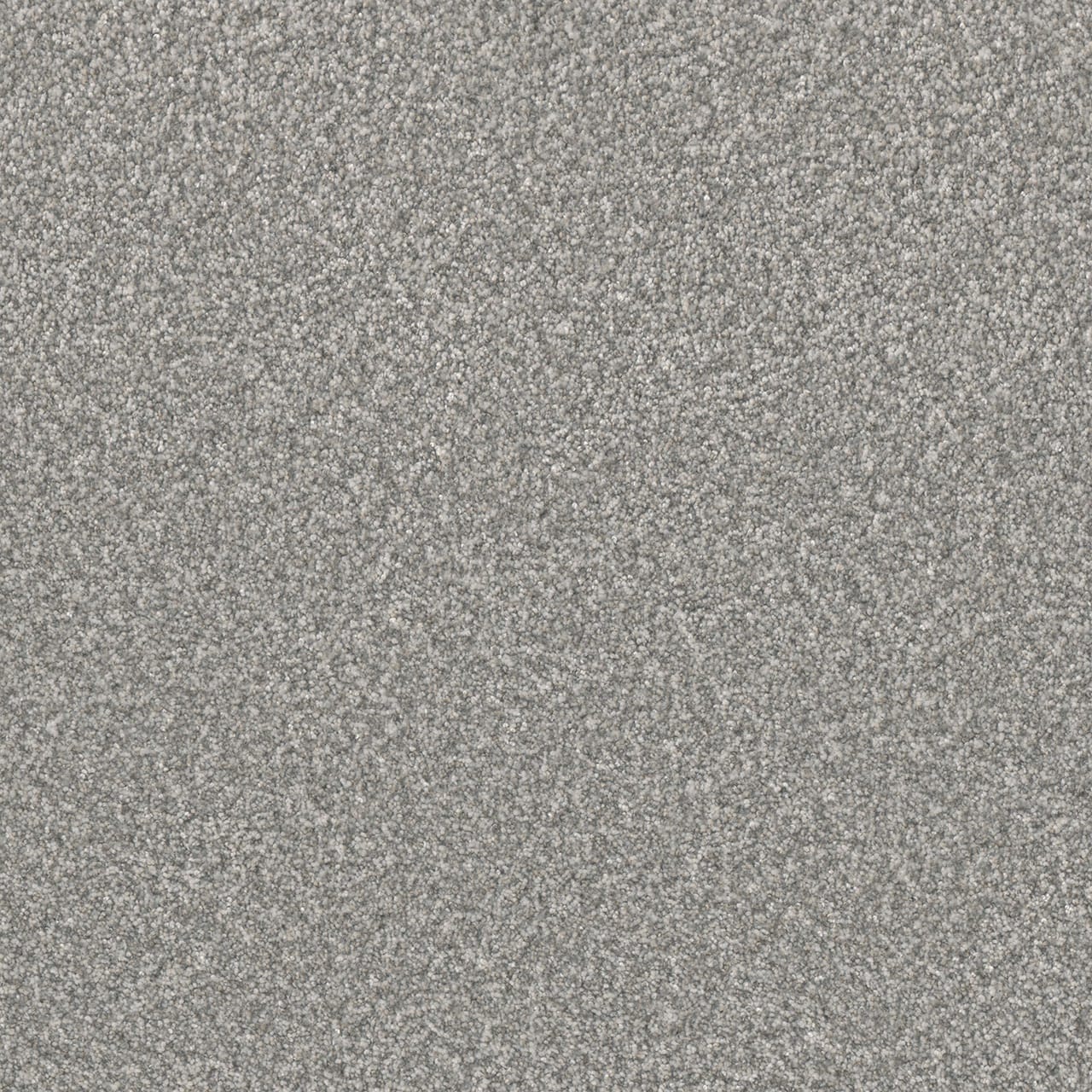 STAINMASTER PetProtect L3014-1307-0808 (Sample) Maxwell Gray 55-oz sq yard Solution-dyed polyester Textured Indoor Carpet