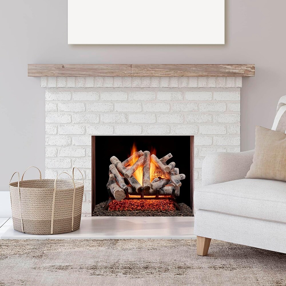 Bluegrass Living BVL24-2 Gas-Logs - View #2