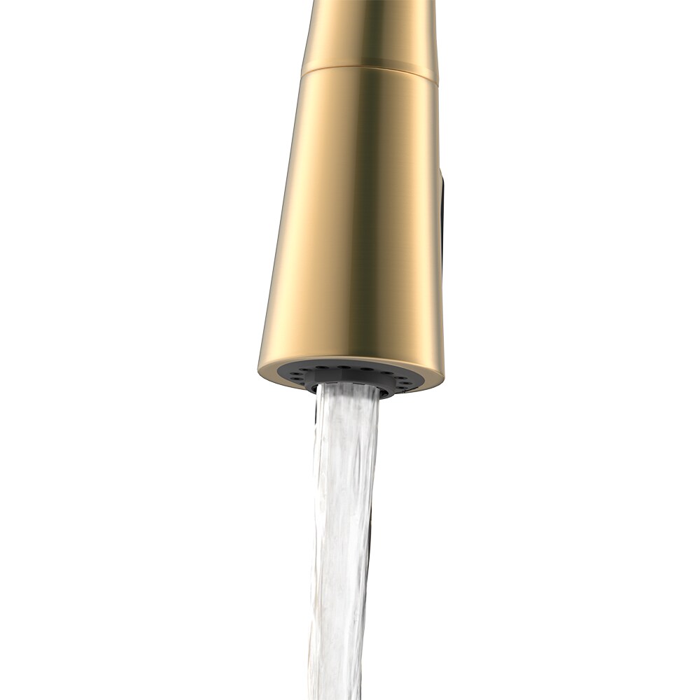 Origin 21 Keya Brushed Gold Pvd Single Handle Pulldown Kitchen Faucet