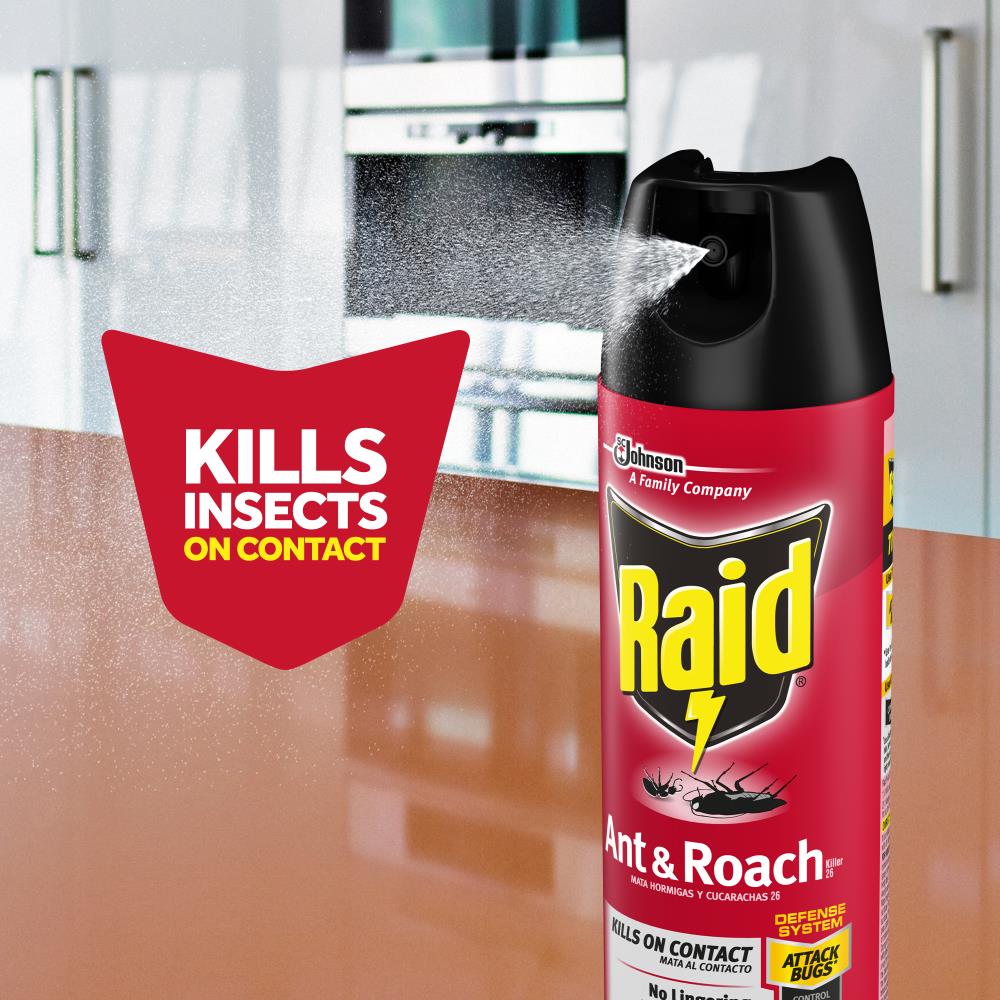 Raid Ant and Roach 20-oz Ant Killer Aerosol (2-Pack) at